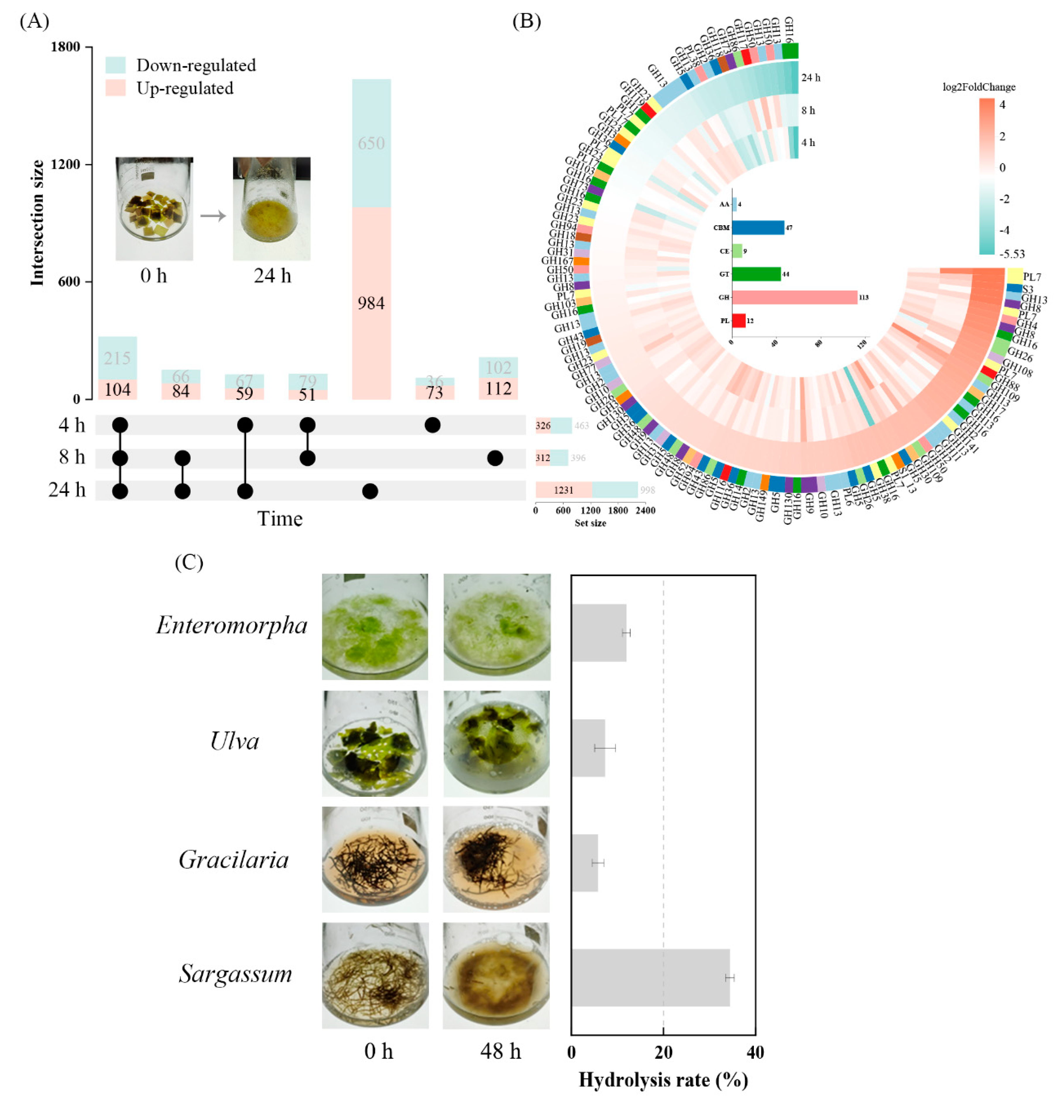 Marinedrugs 22 00203 g004