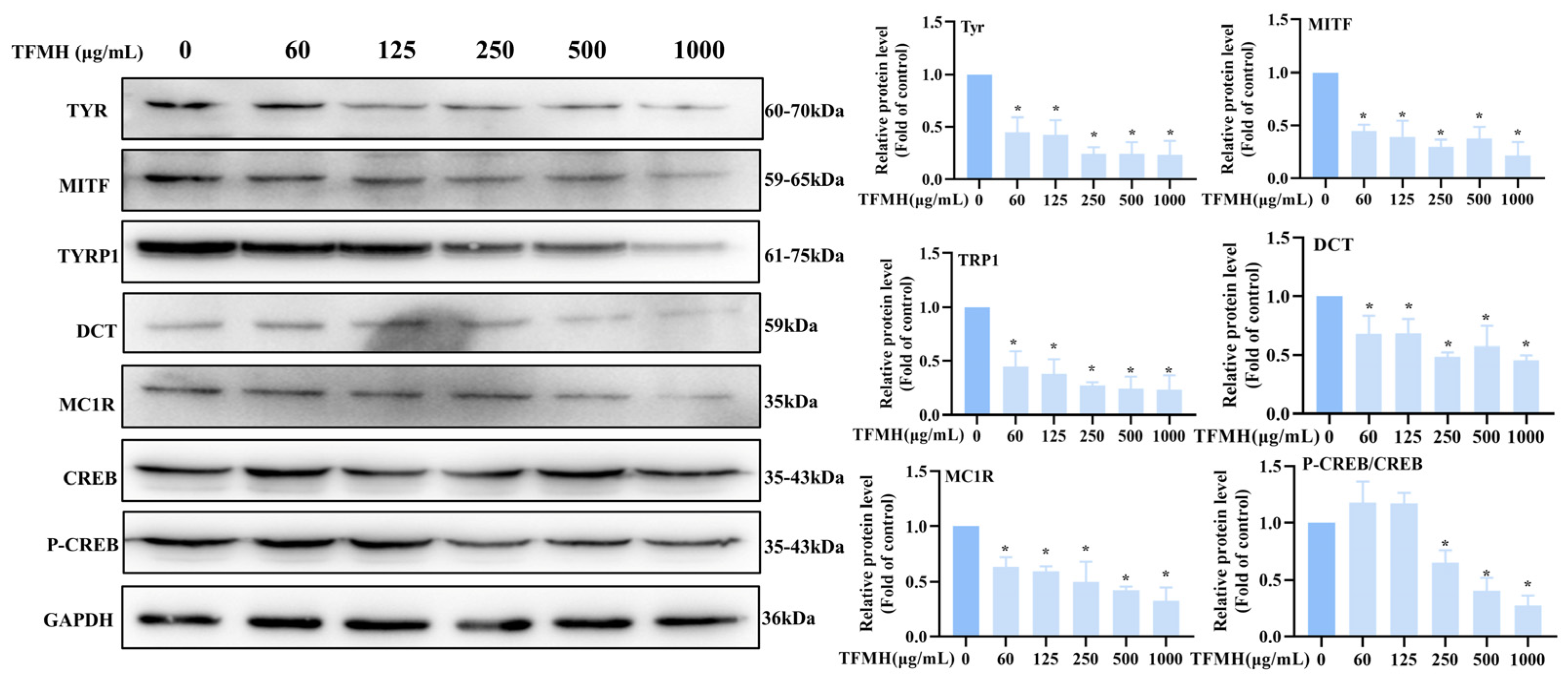 Marinedrugs 22 00206 g006