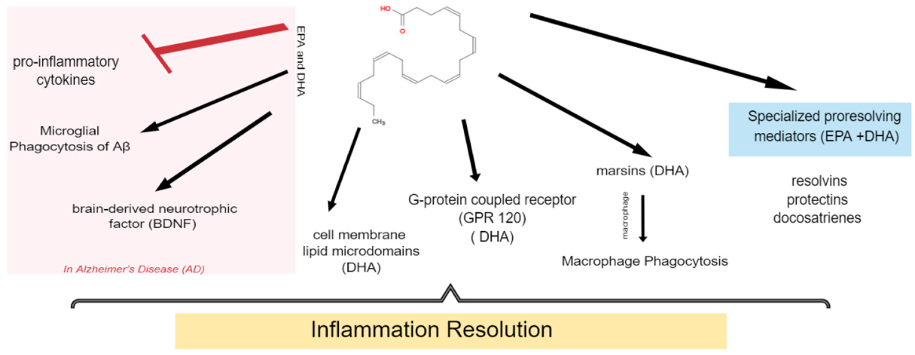 Marinedrugs 22 00207 g002