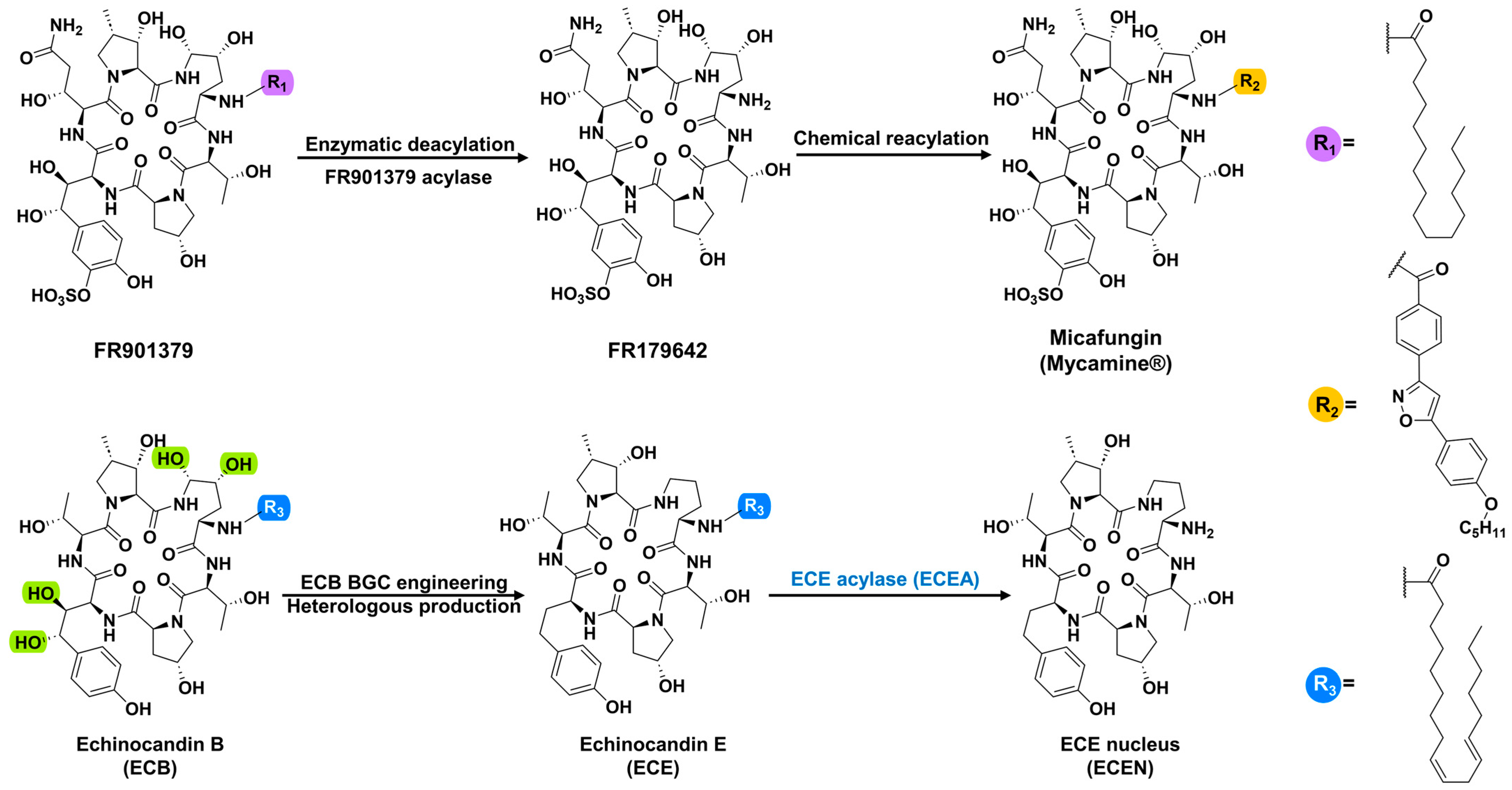 Marinedrugs 22 00212 g001