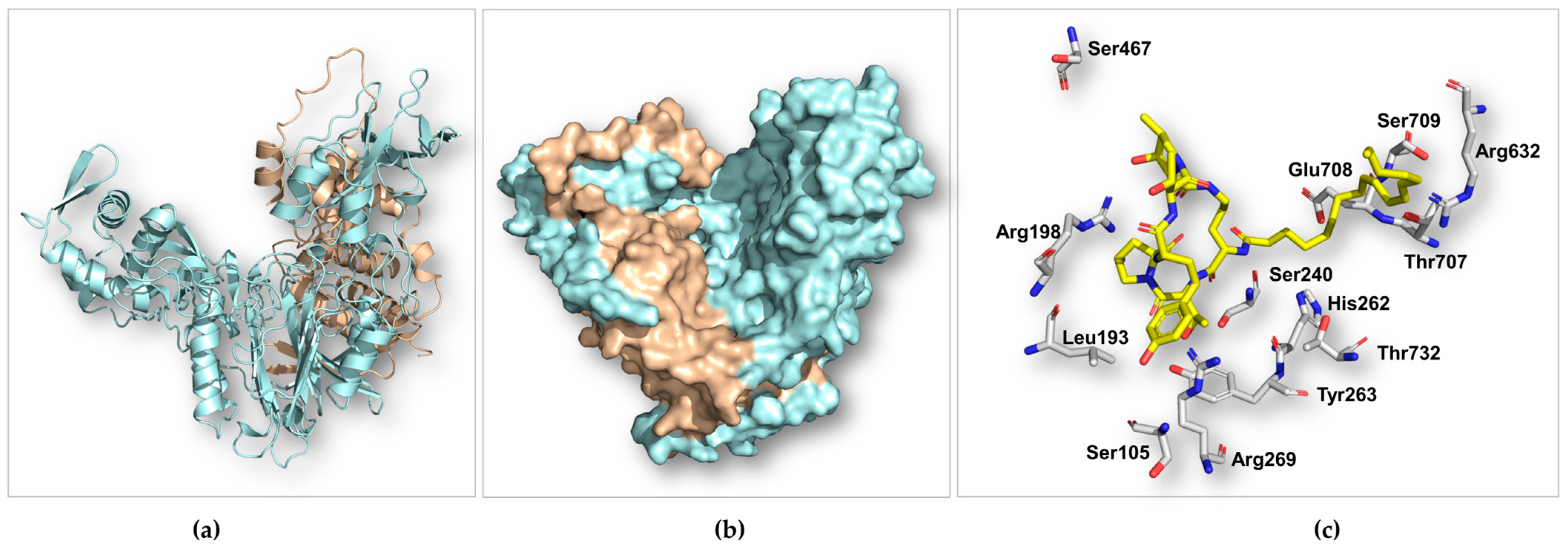 Marinedrugs 22 00212 g004