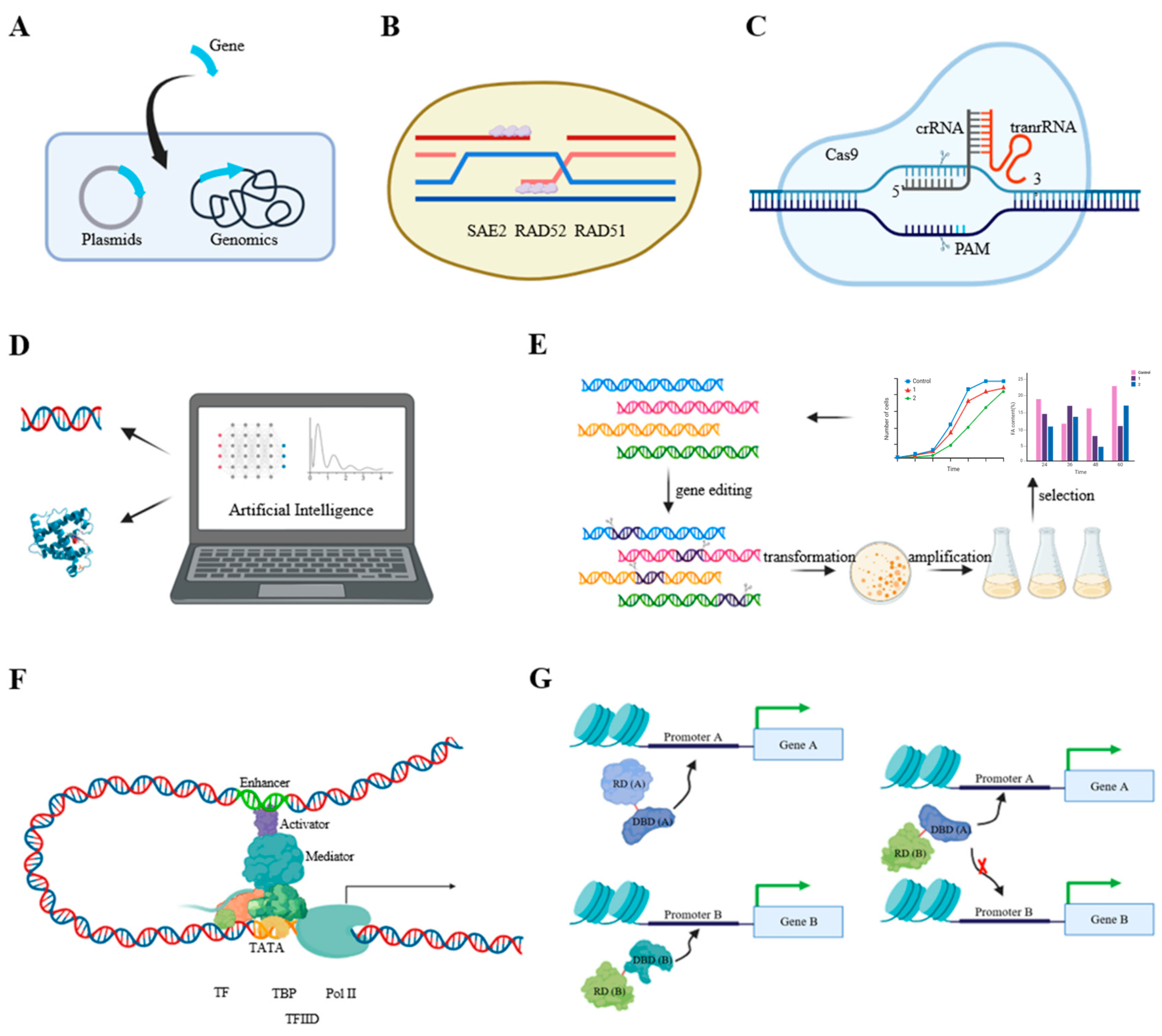 Marinedrugs 22 00216 g002 Marinedrugs 22 00216 g002