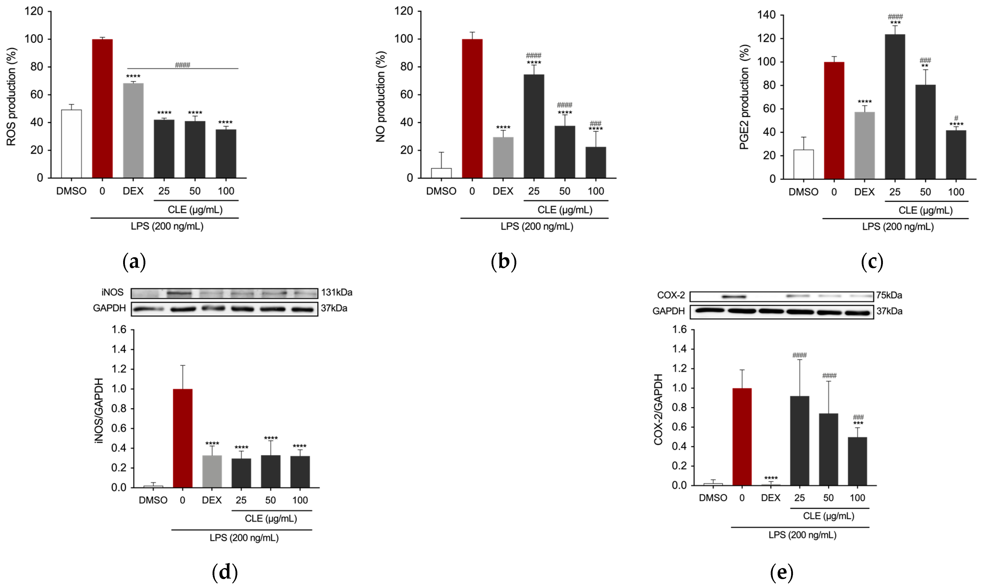Marinedrugs 22 00226 g003