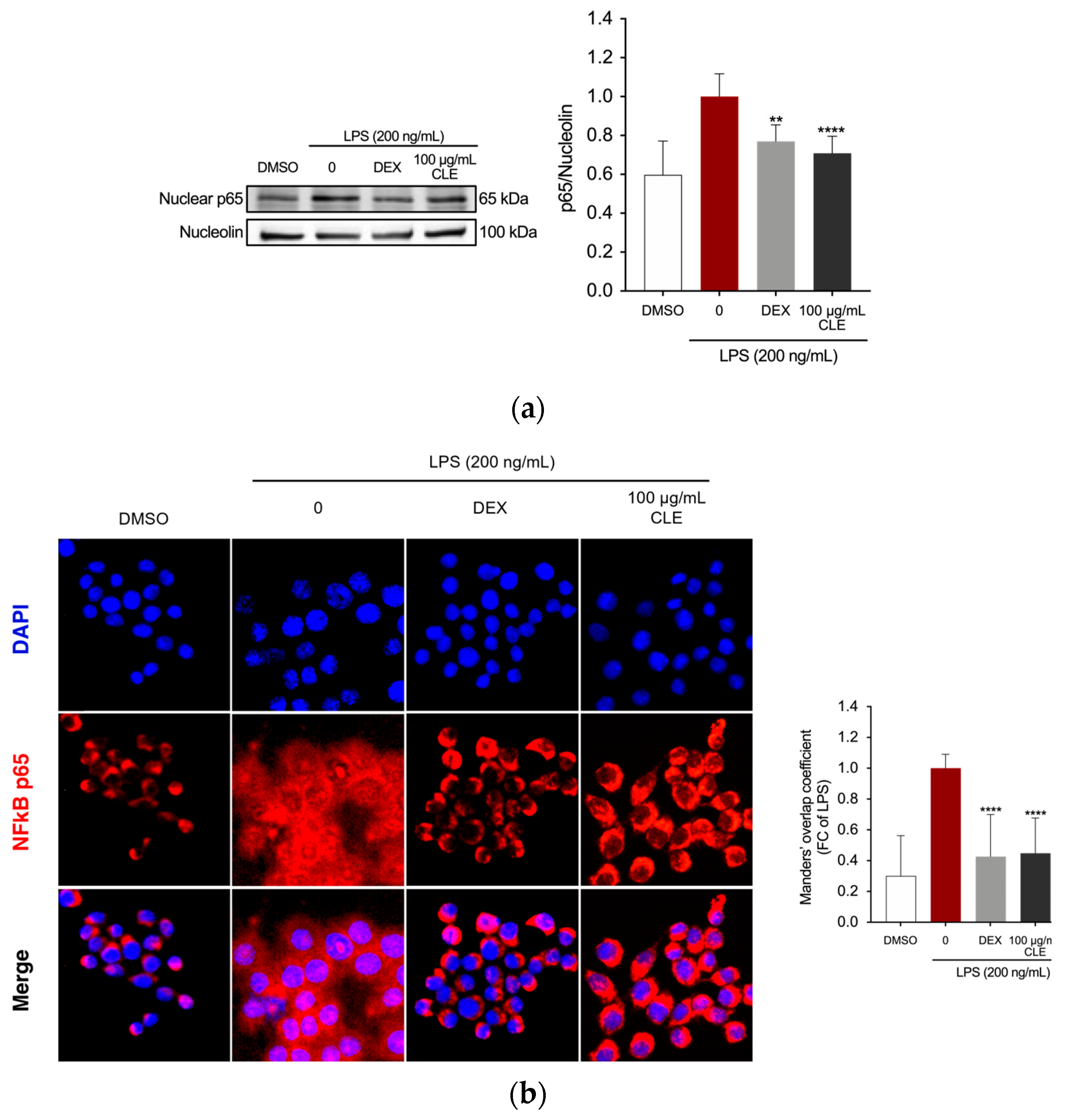 Marinedrugs 22 00226 g004