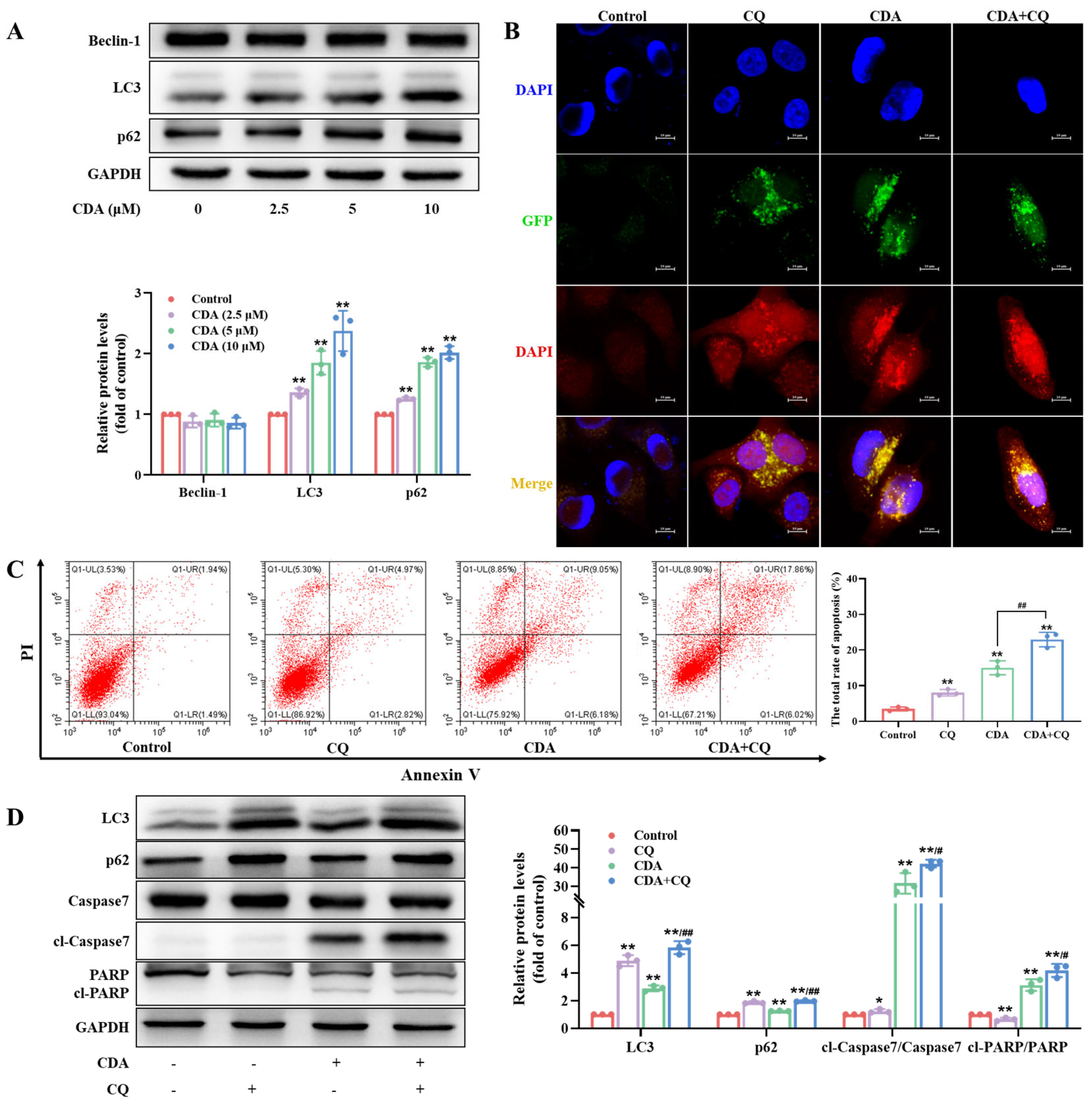 Marinedrugs 22 00227 g004