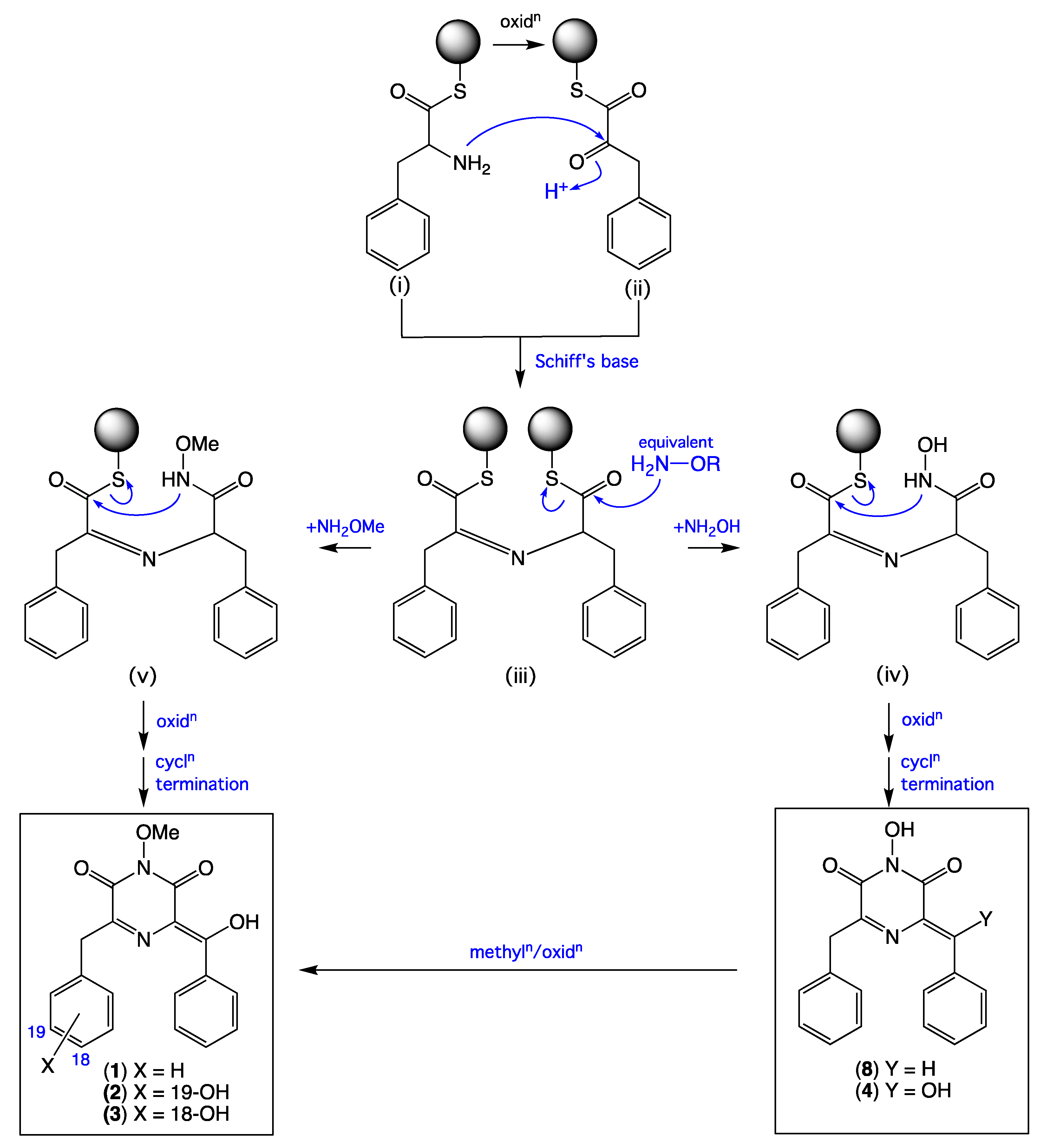 Marinedrugs 22 00243 sch001