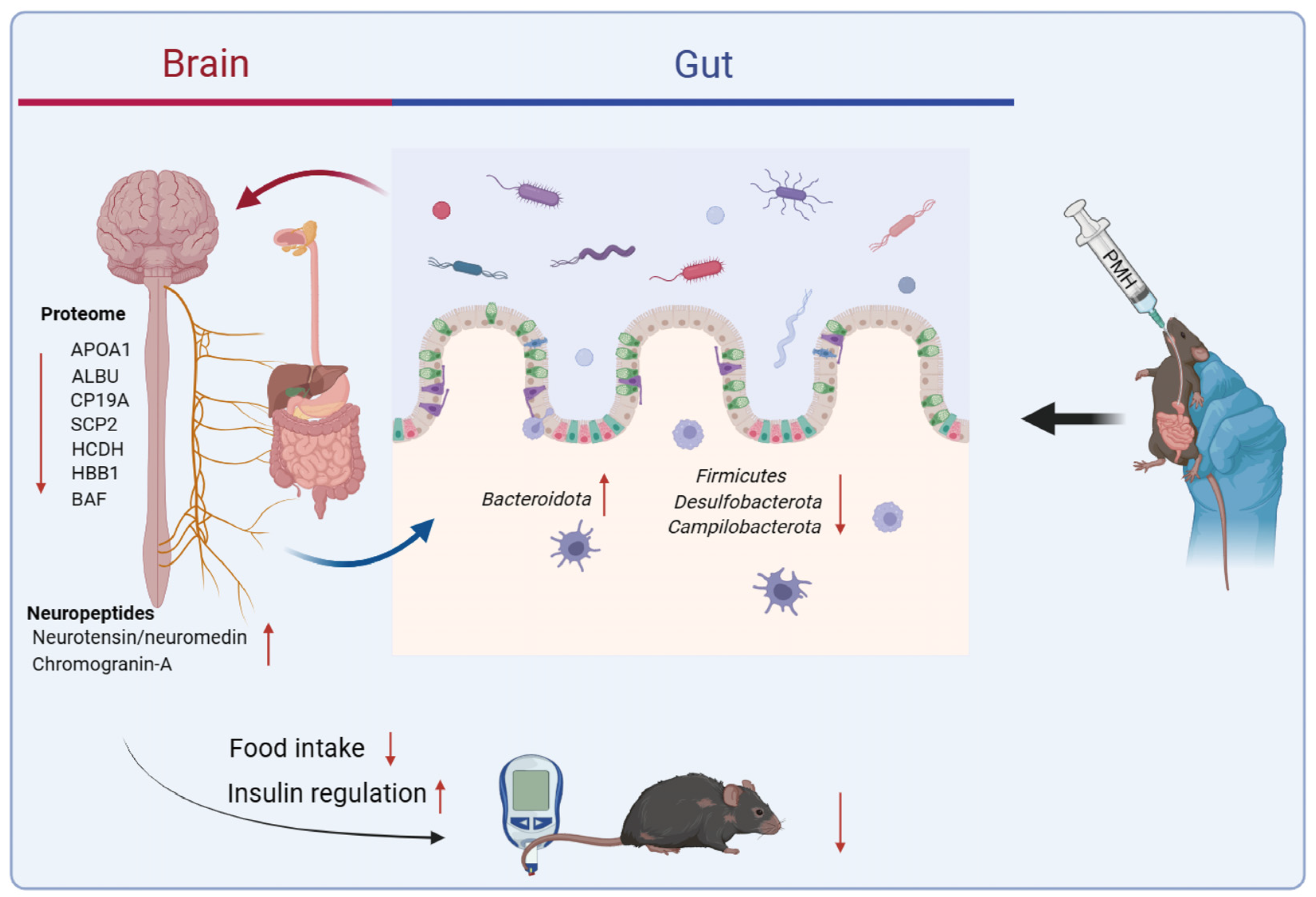 Marinedrugs 22 00249 g004