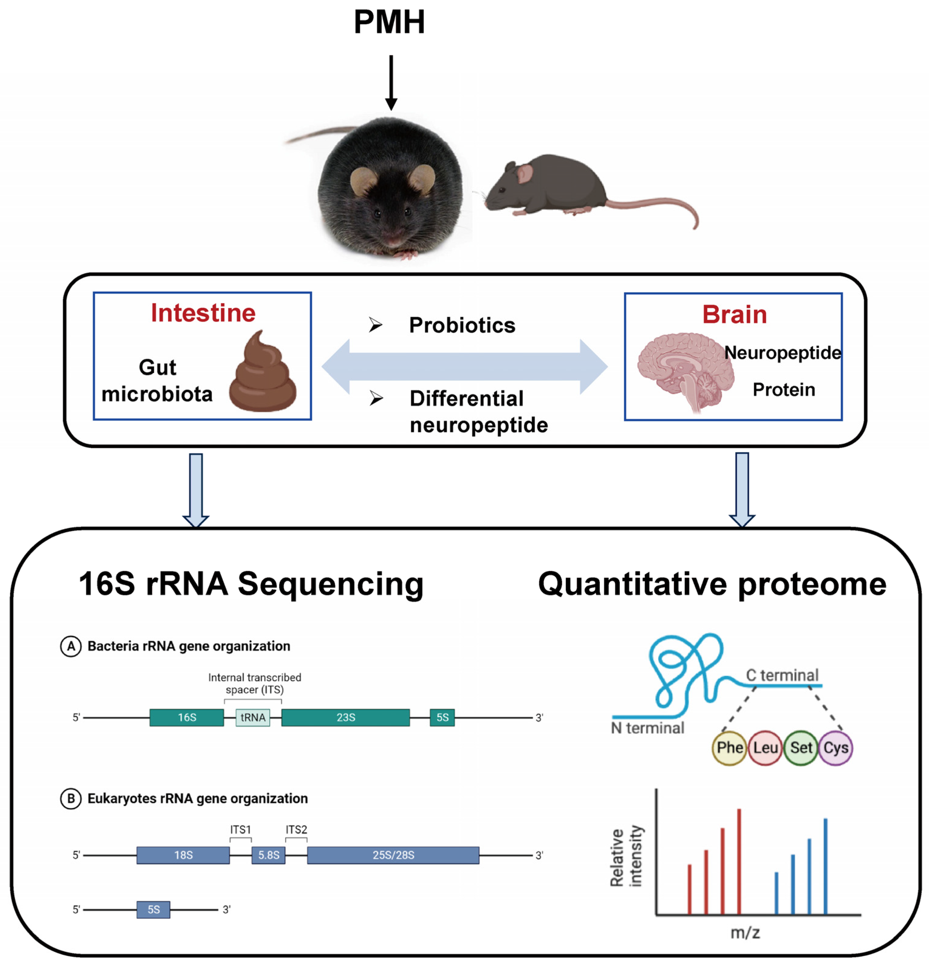 Marinedrugs 22 00249 g005