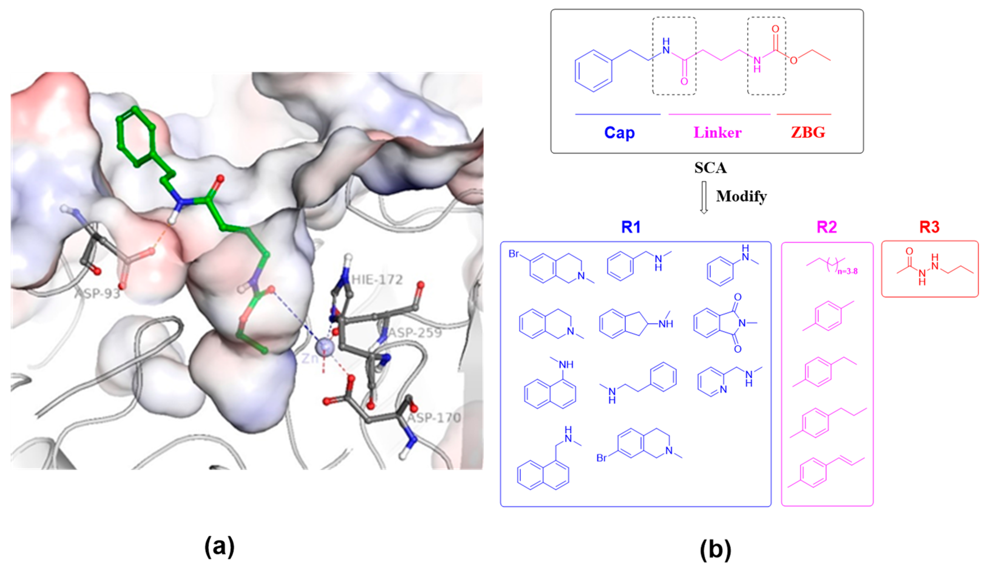 Marinedrugs 22 00250 g001