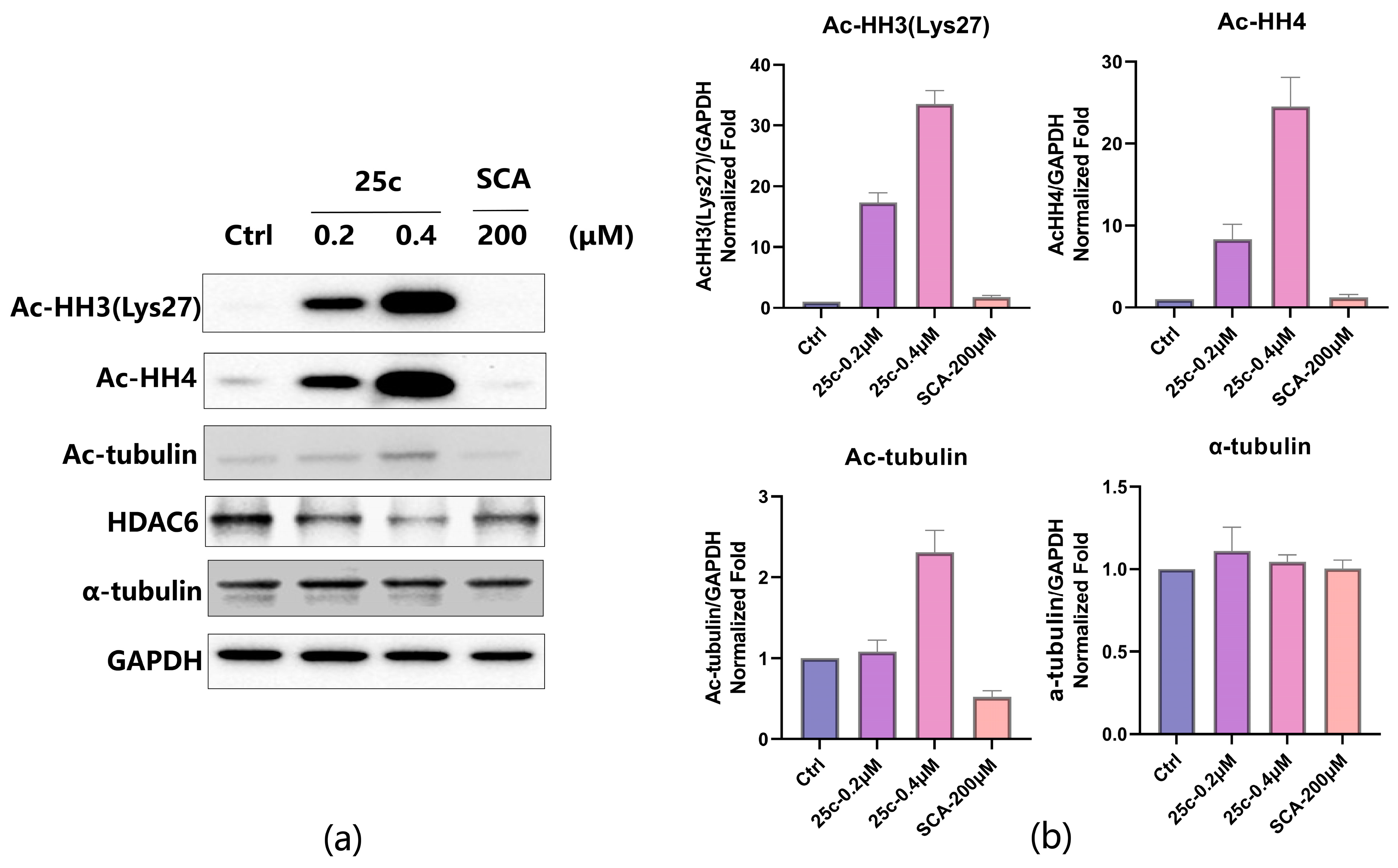 Marinedrugs 22 00250 g002
