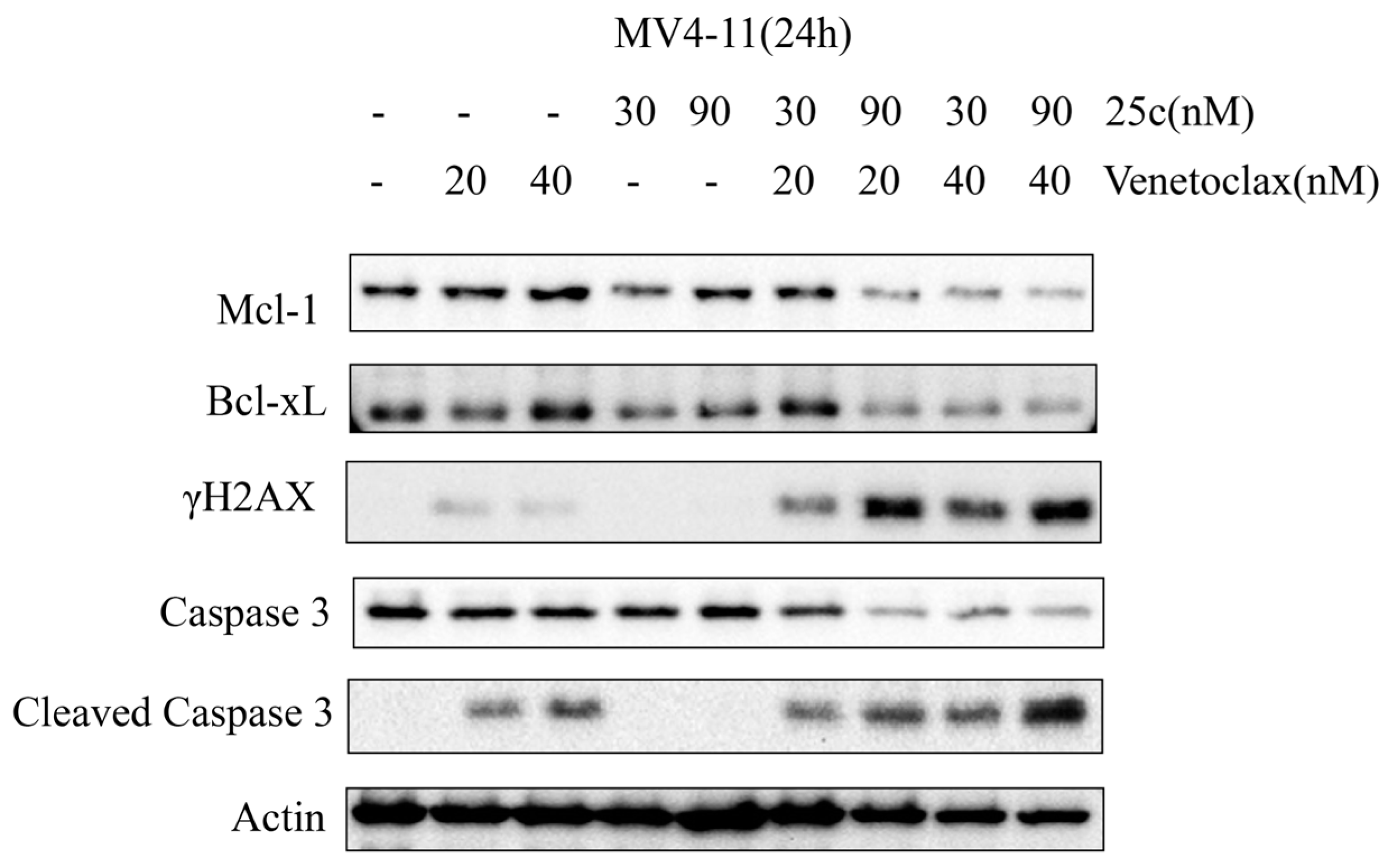 Marinedrugs 22 00250 g006