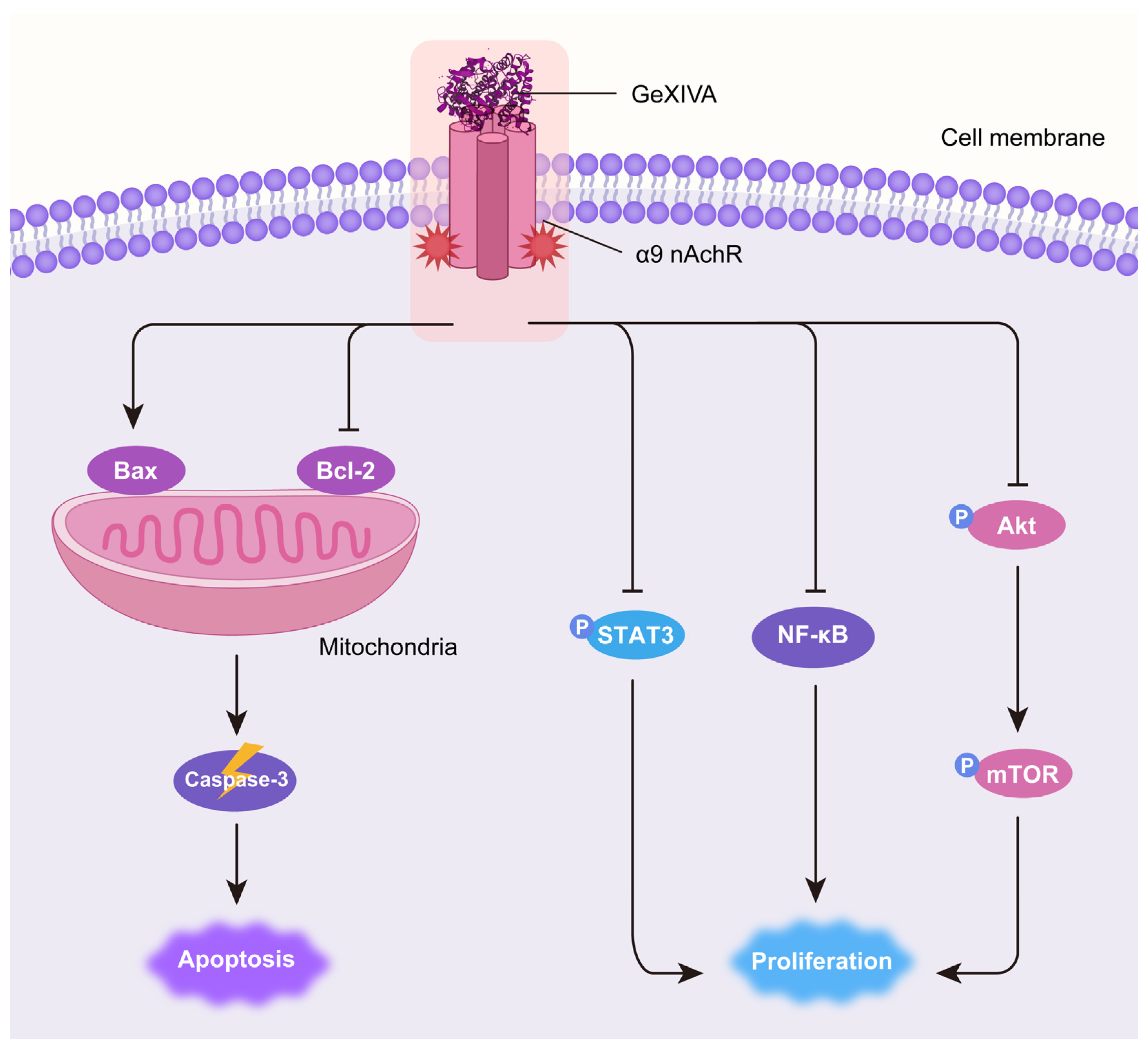 Marinedrugs 22 00252 g006