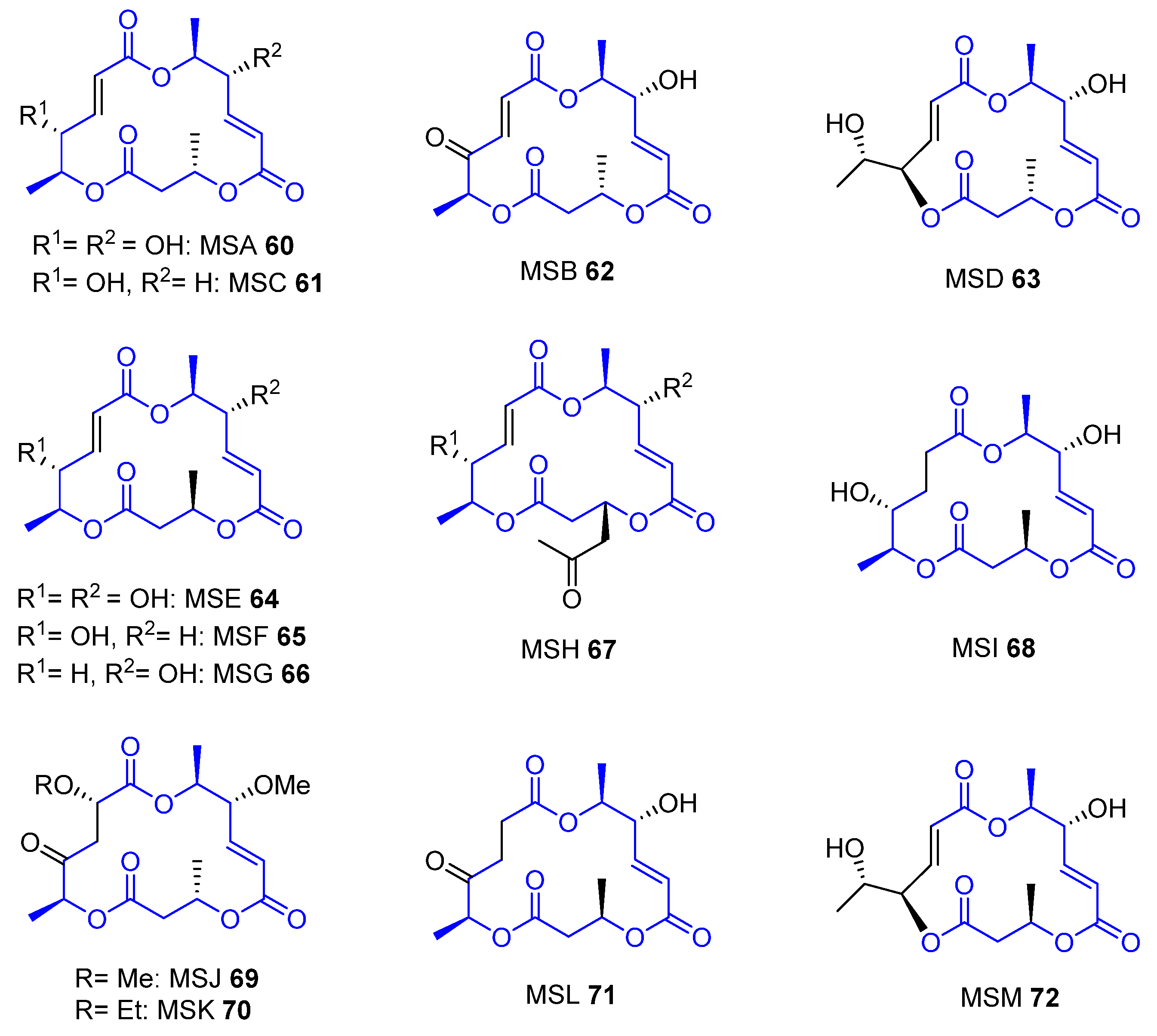 Marinedrugs 22 00253 g002