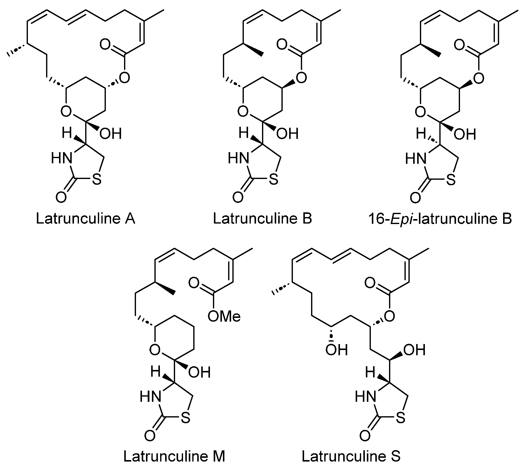 Marinedrugs 22 00253 g005