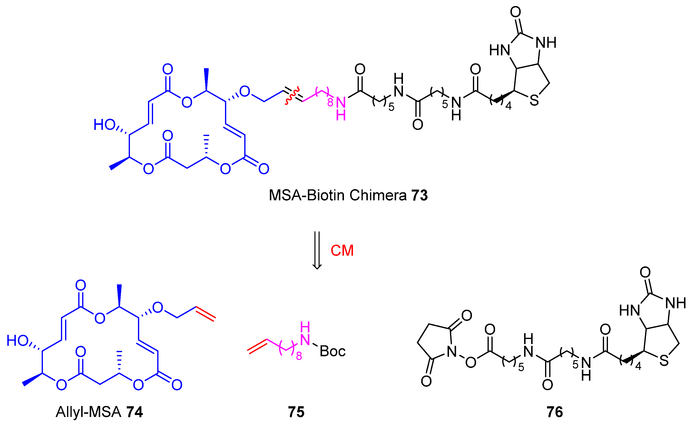 Marinedrugs 22 00253 sch019