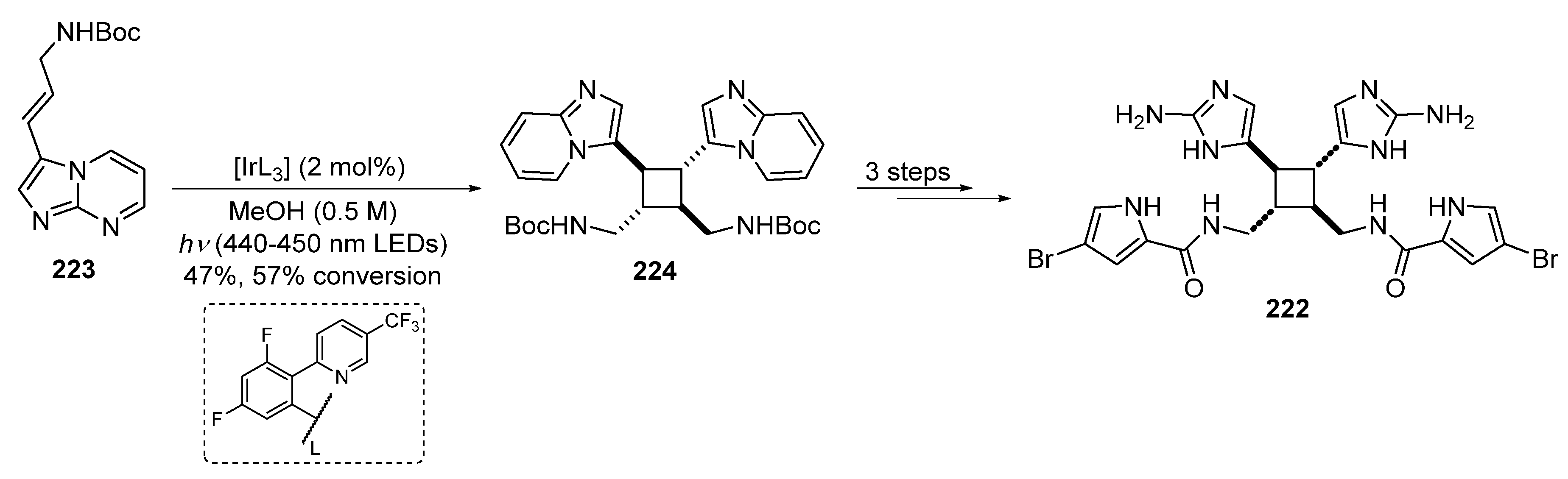 Marinedrugs 22 00253 sch055