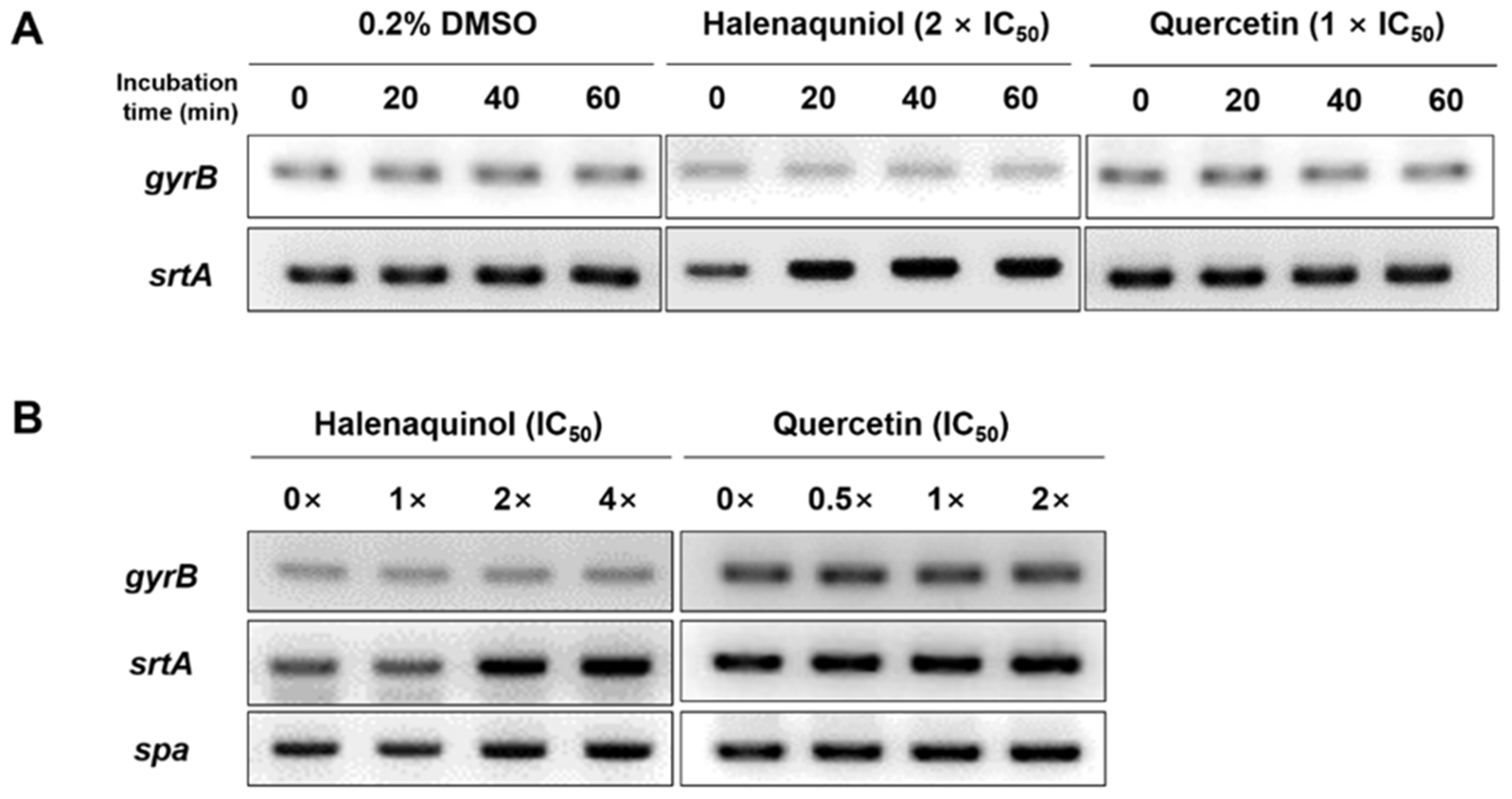 Marinedrugs 22 00266 g003