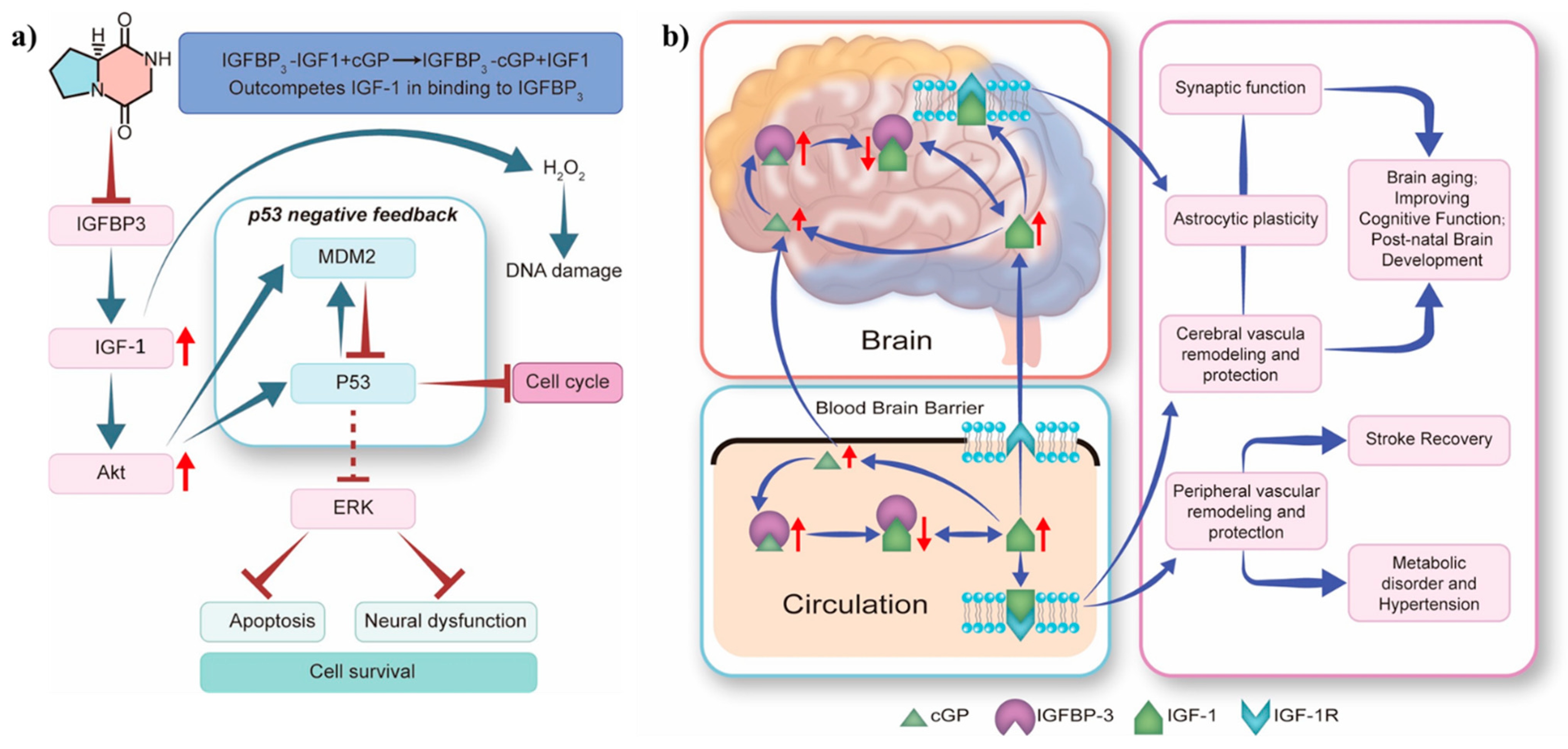 Marinedrugs 22 00271 g007