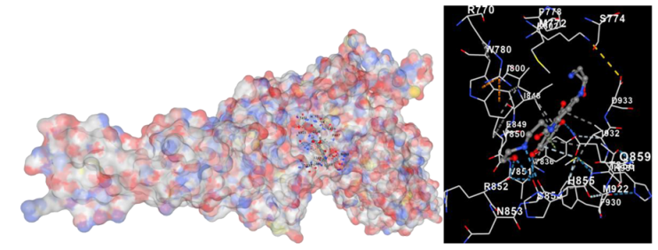 Marinedrugs 22 00272 i002