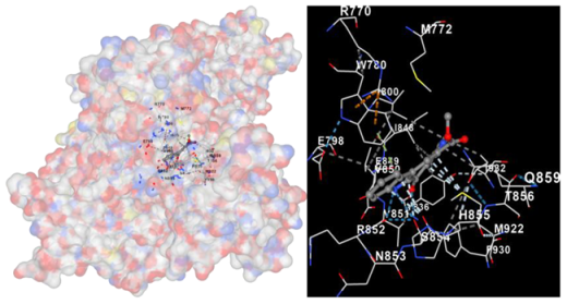 Marinedrugs 22 00272 i003