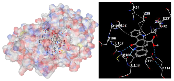 Marinedrugs 22 00272 i004