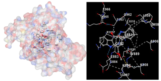 Marinedrugs 22 00272 i006