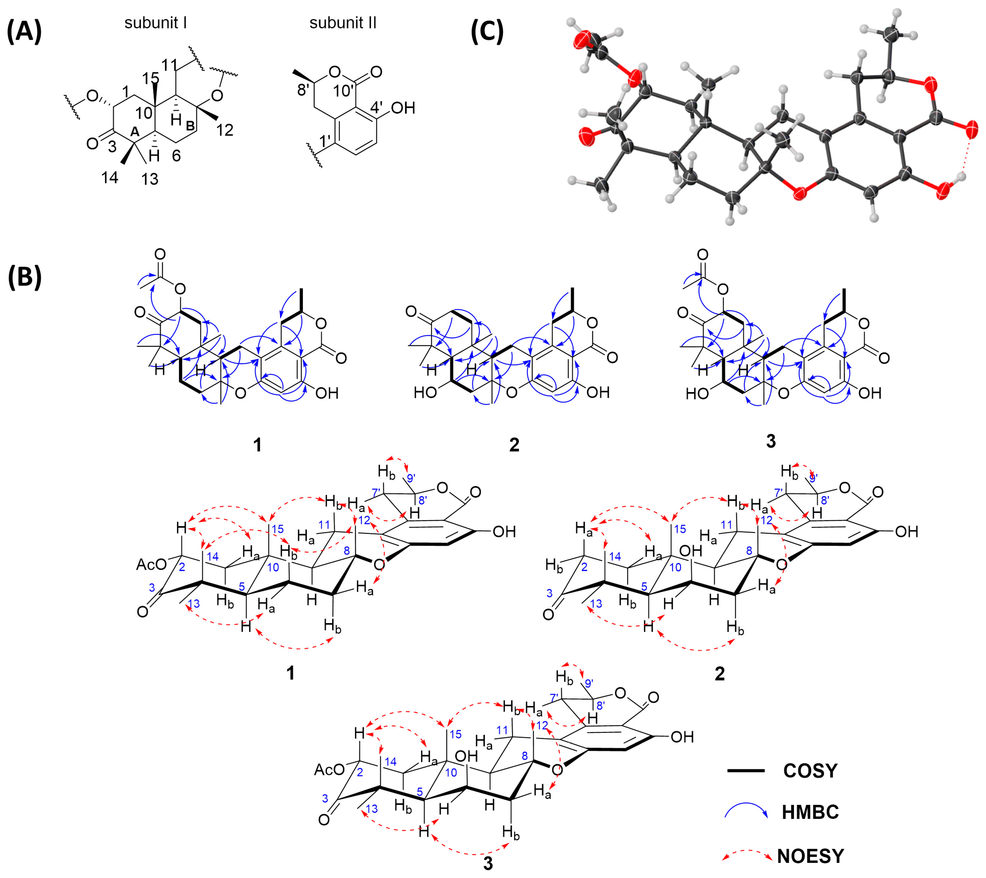 Marinedrugs 22 00274 g002