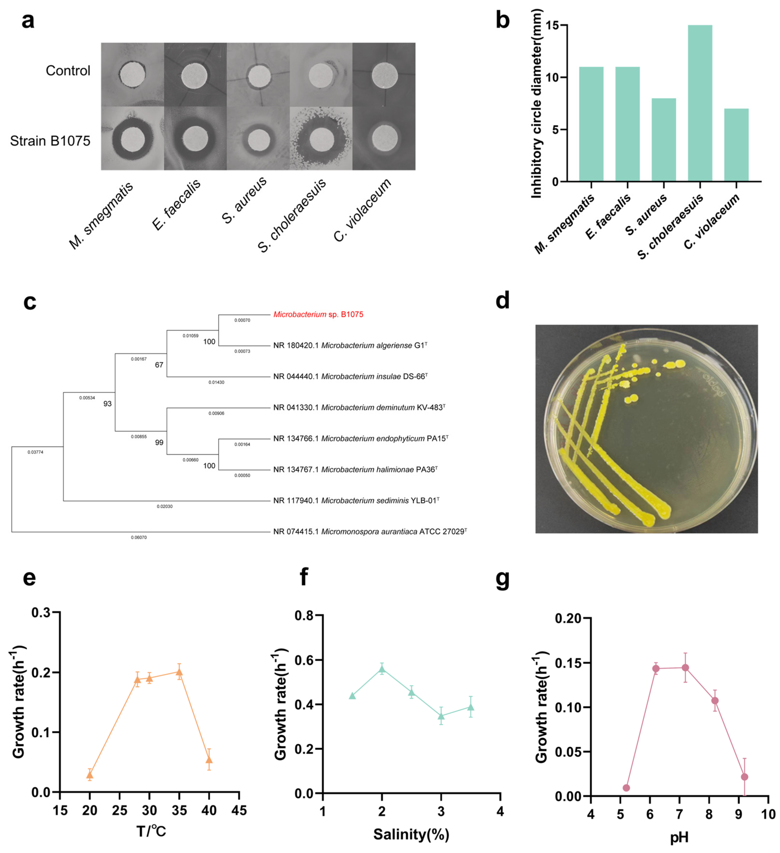 Marinedrugs 22 00276 g001