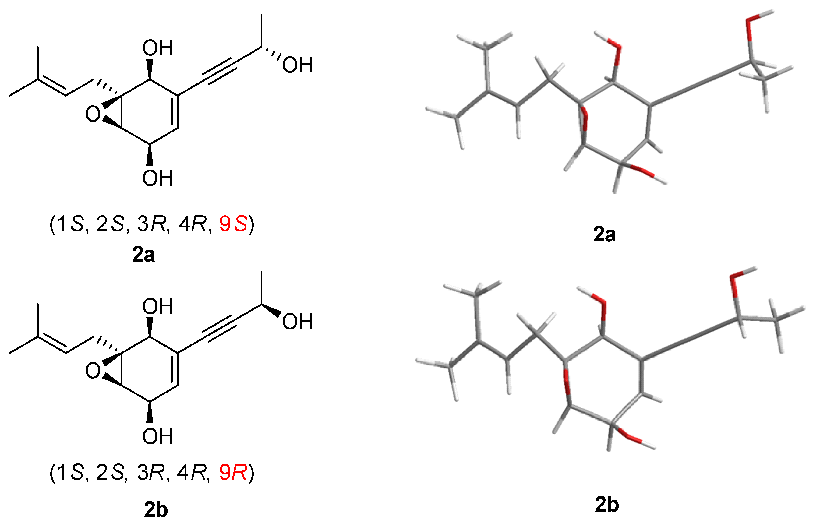 Marinedrugs 22 00277 g005