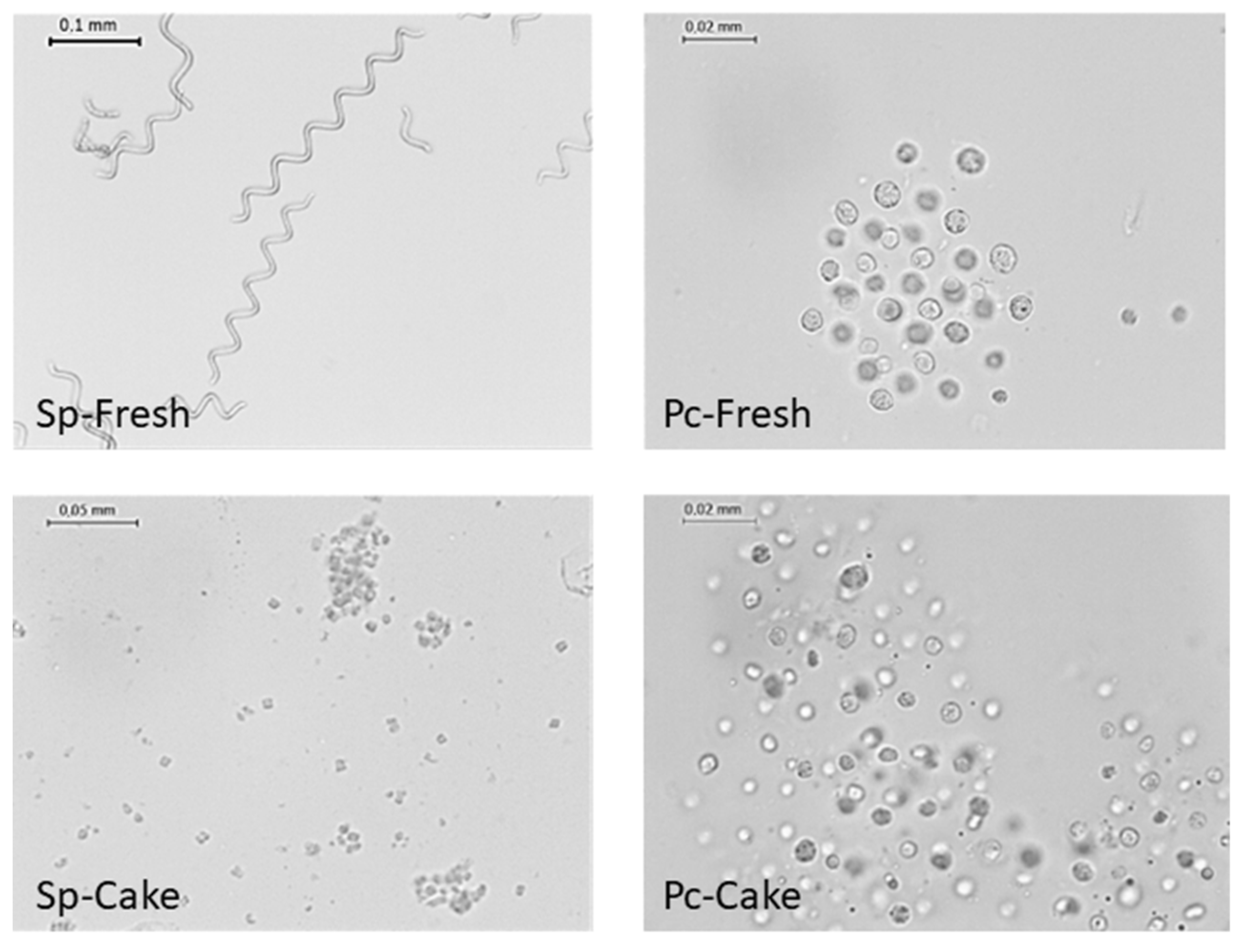 Marinedrugs 22 00281 g002