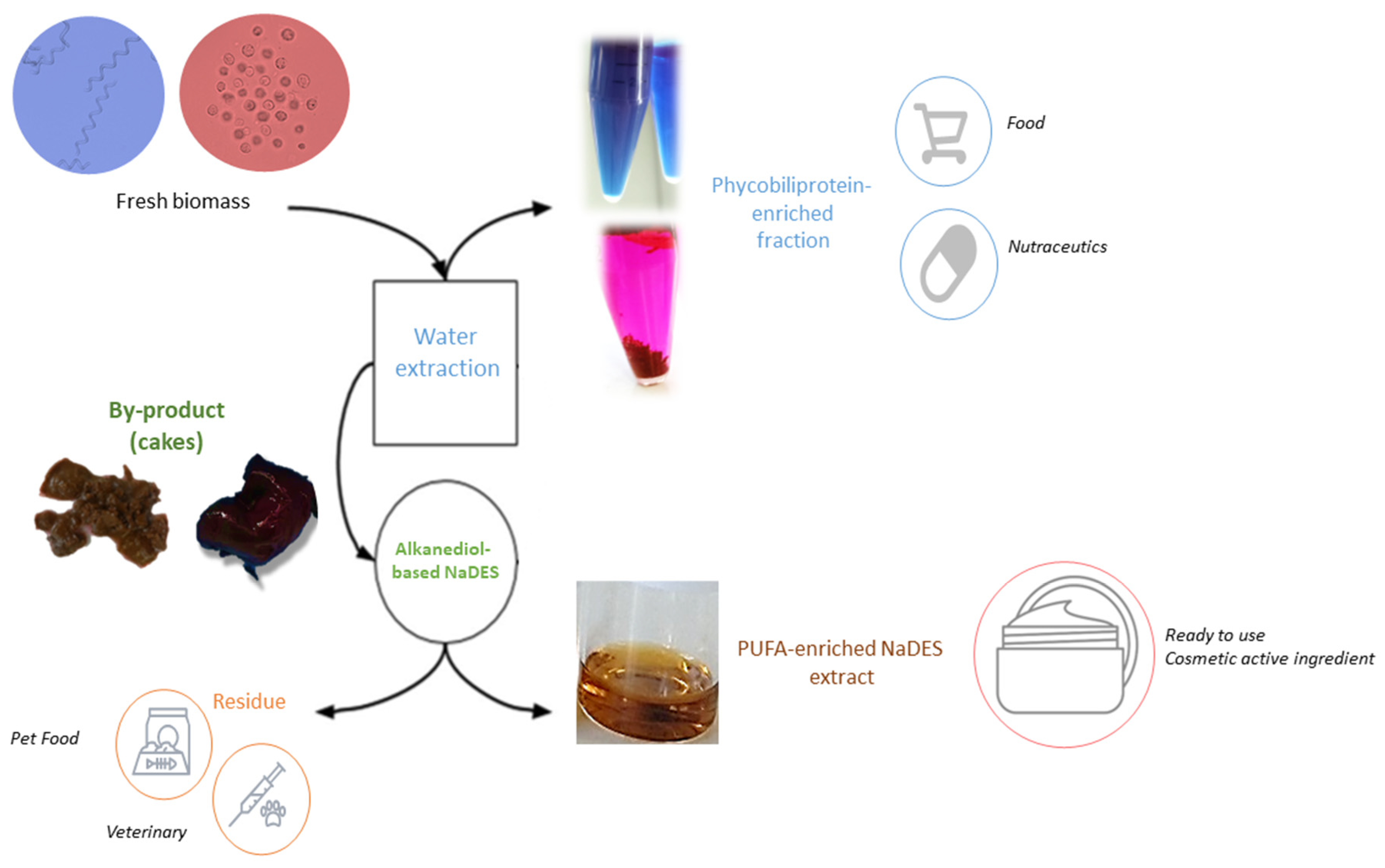 Marinedrugs 22 00281 g010