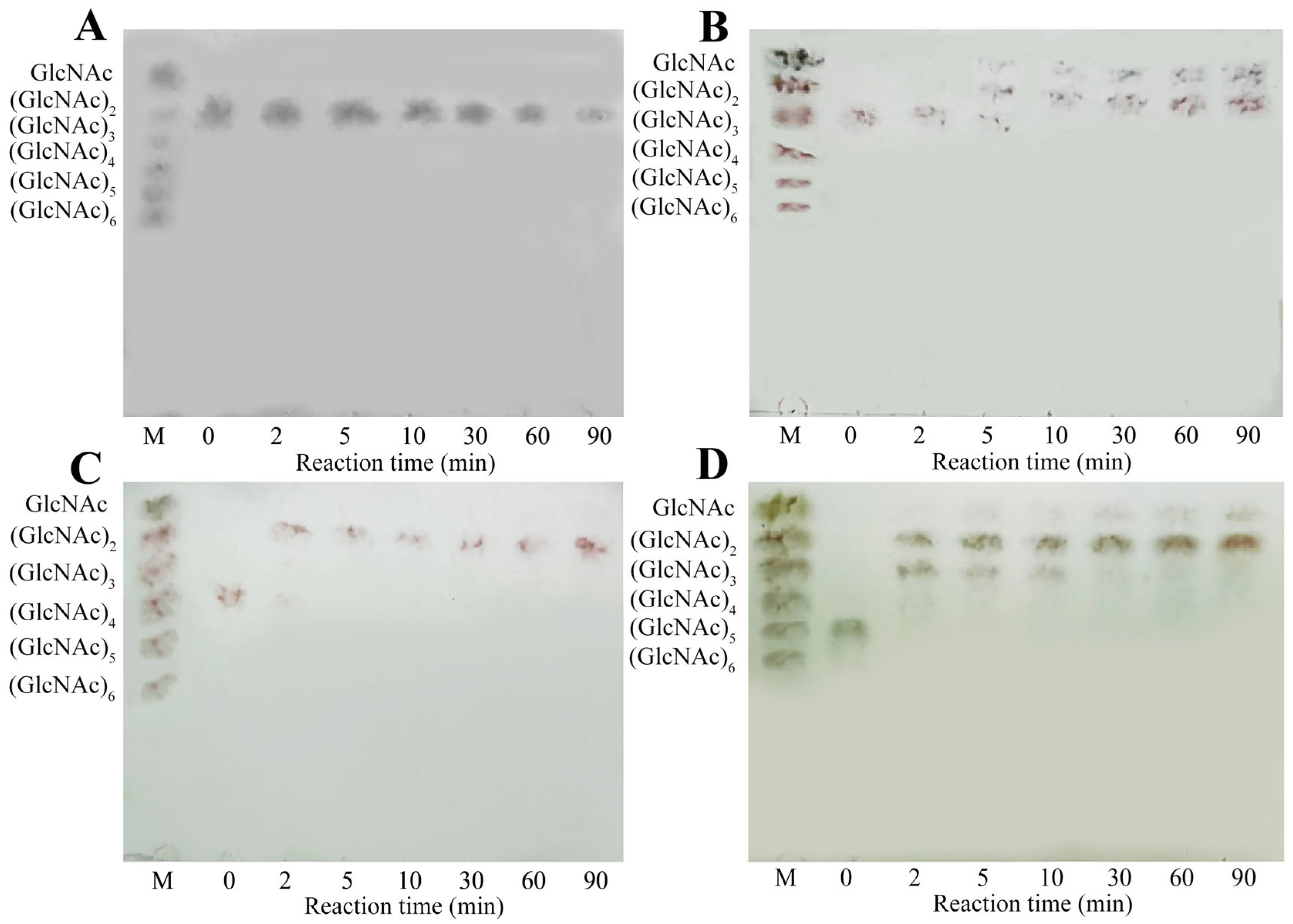 Marinedrugs 22 00287 g005