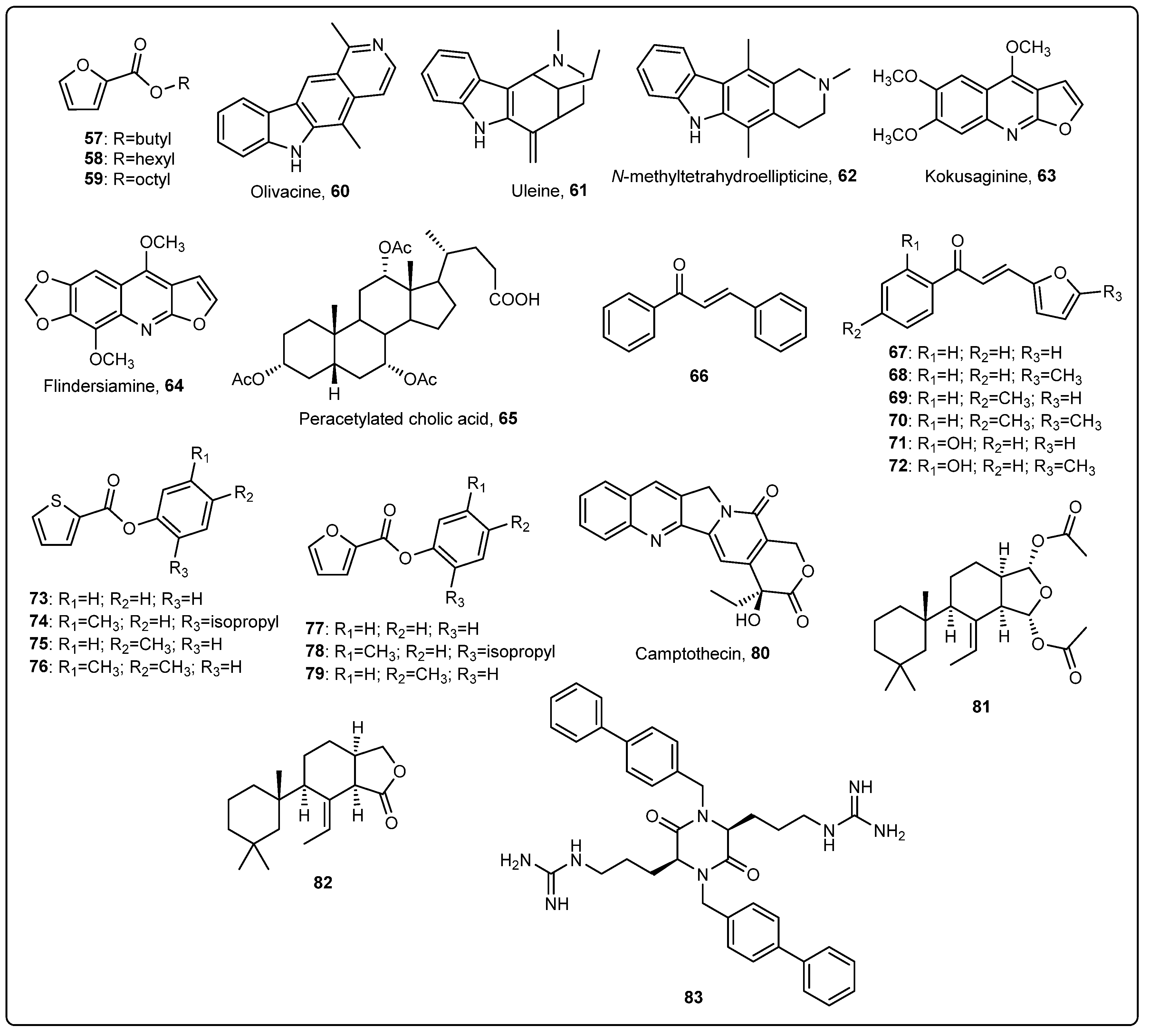 Marinedrugs 22 00291 g002 Marinedrugs 22 00291 g002
