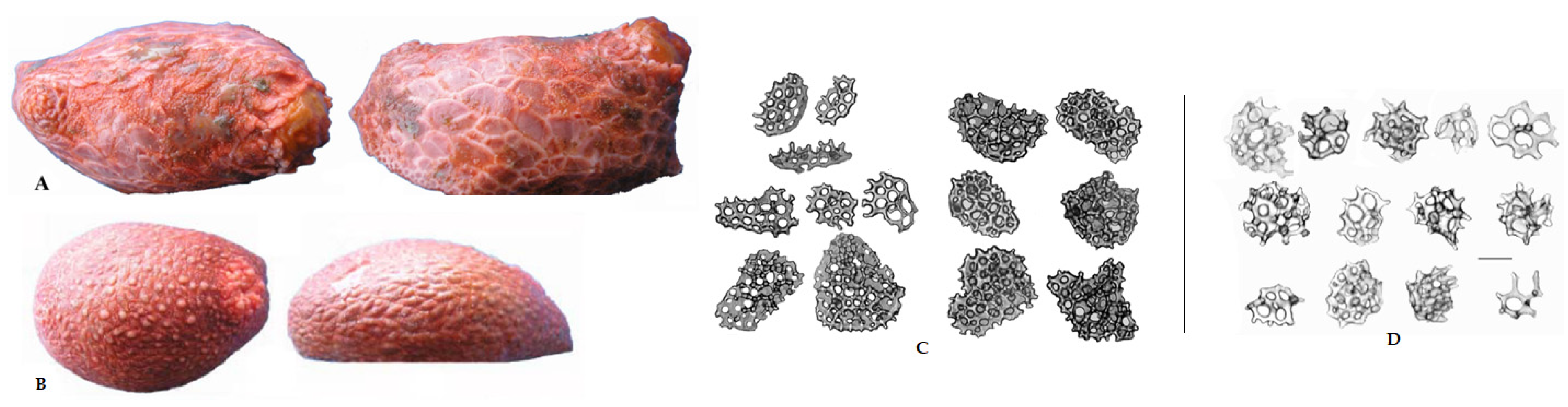 Marinedrugs 22 00292 g002