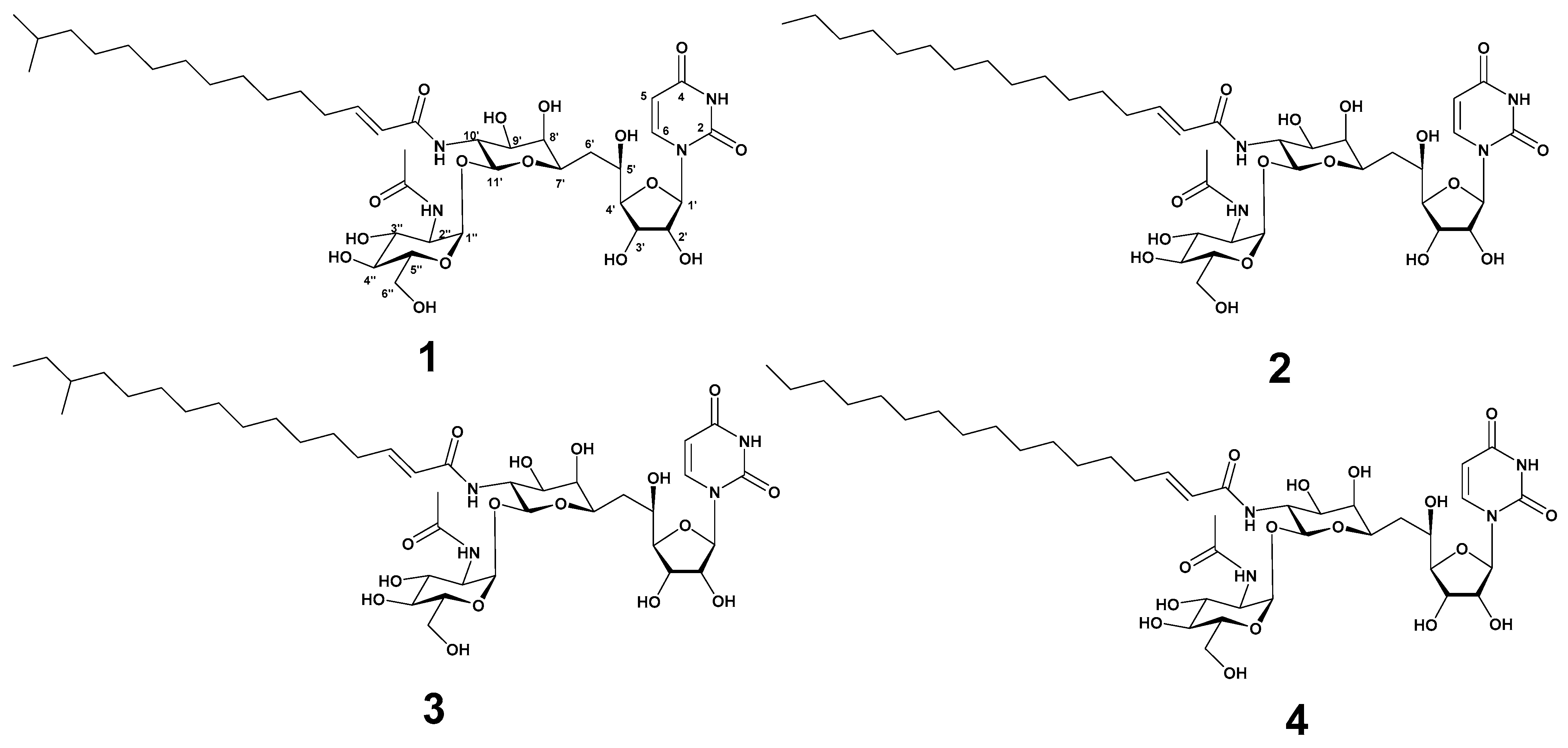 Marinedrugs 22 00293 g001