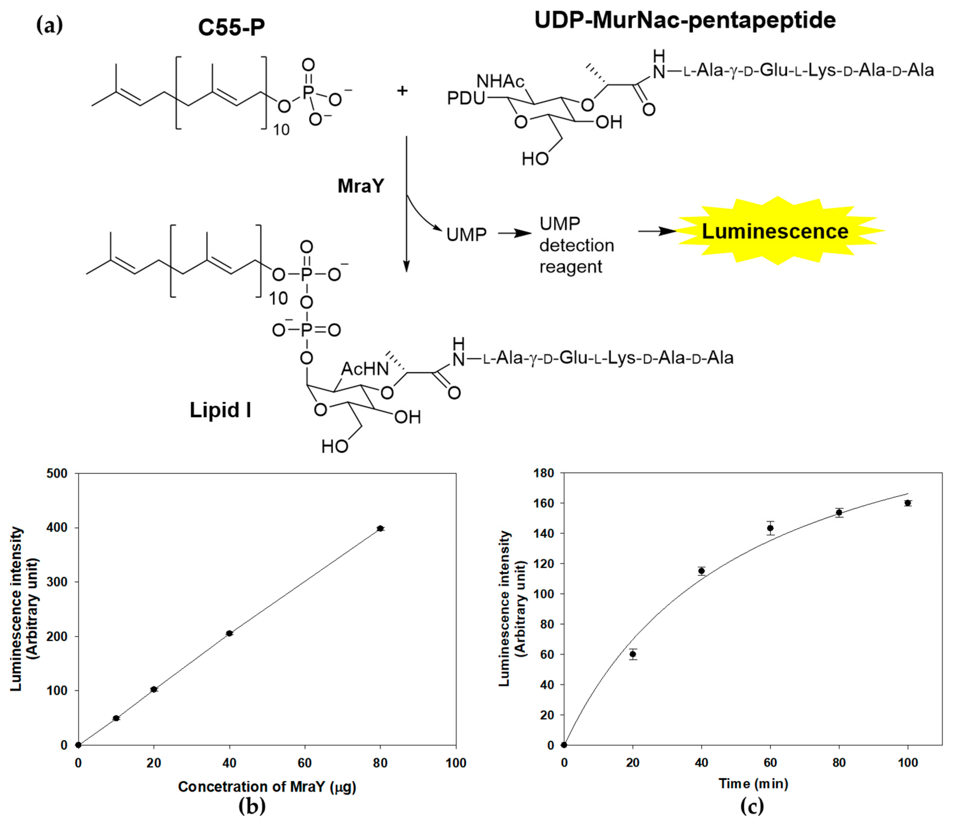 Marinedrugs 22 00293 g003