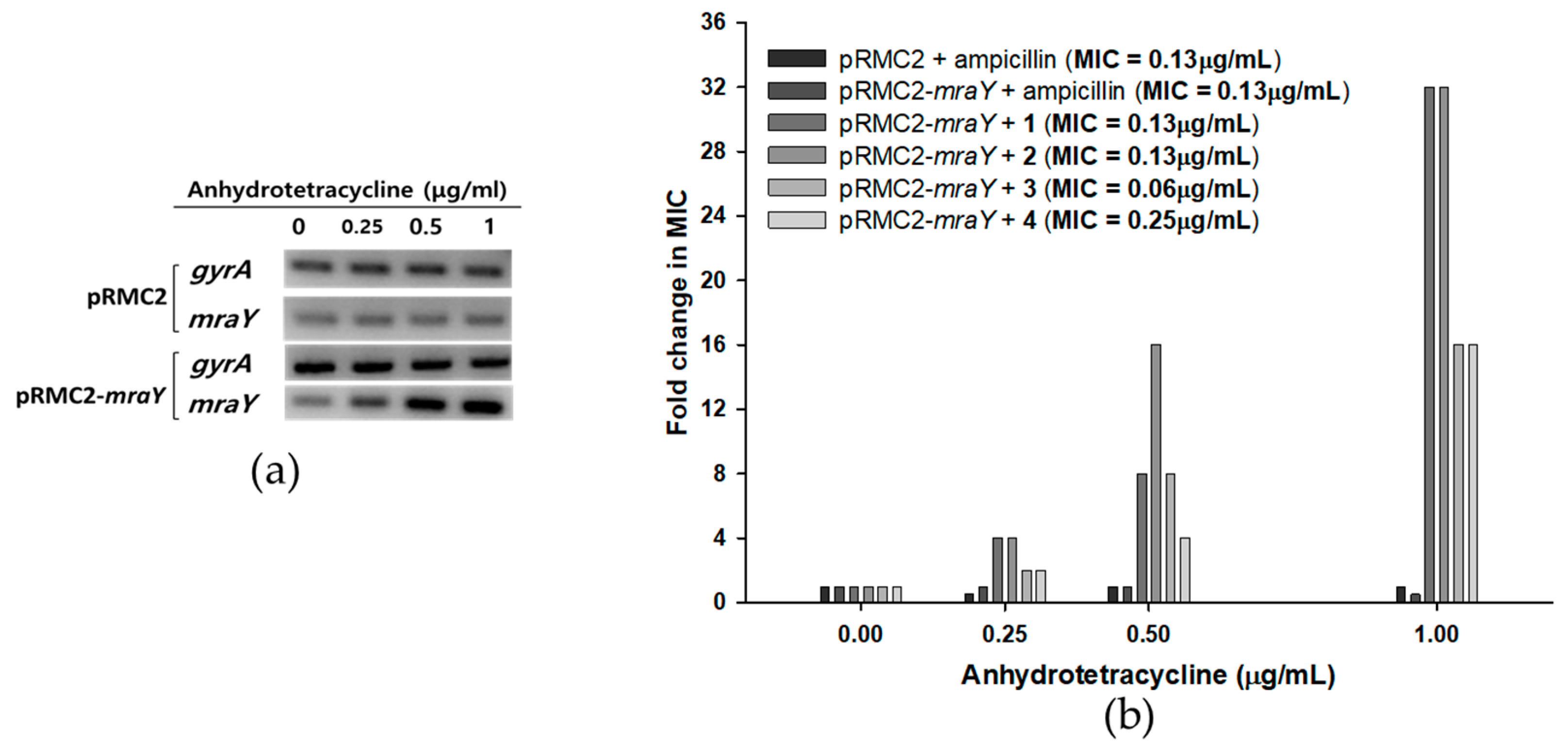 Marinedrugs 22 00293 g005