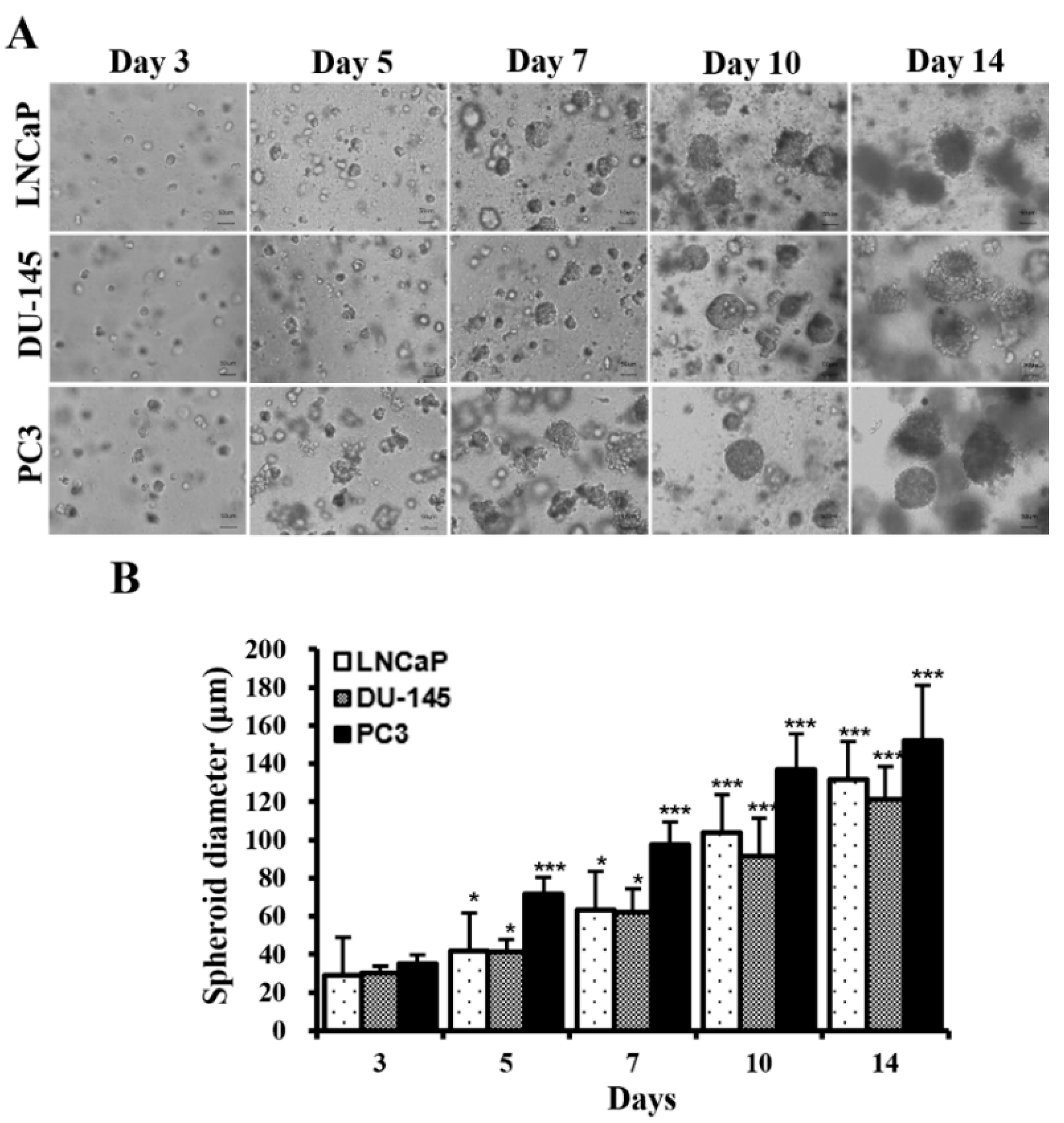 Marinedrugs 22 00295 g001 Marinedrugs 22 00295 g001