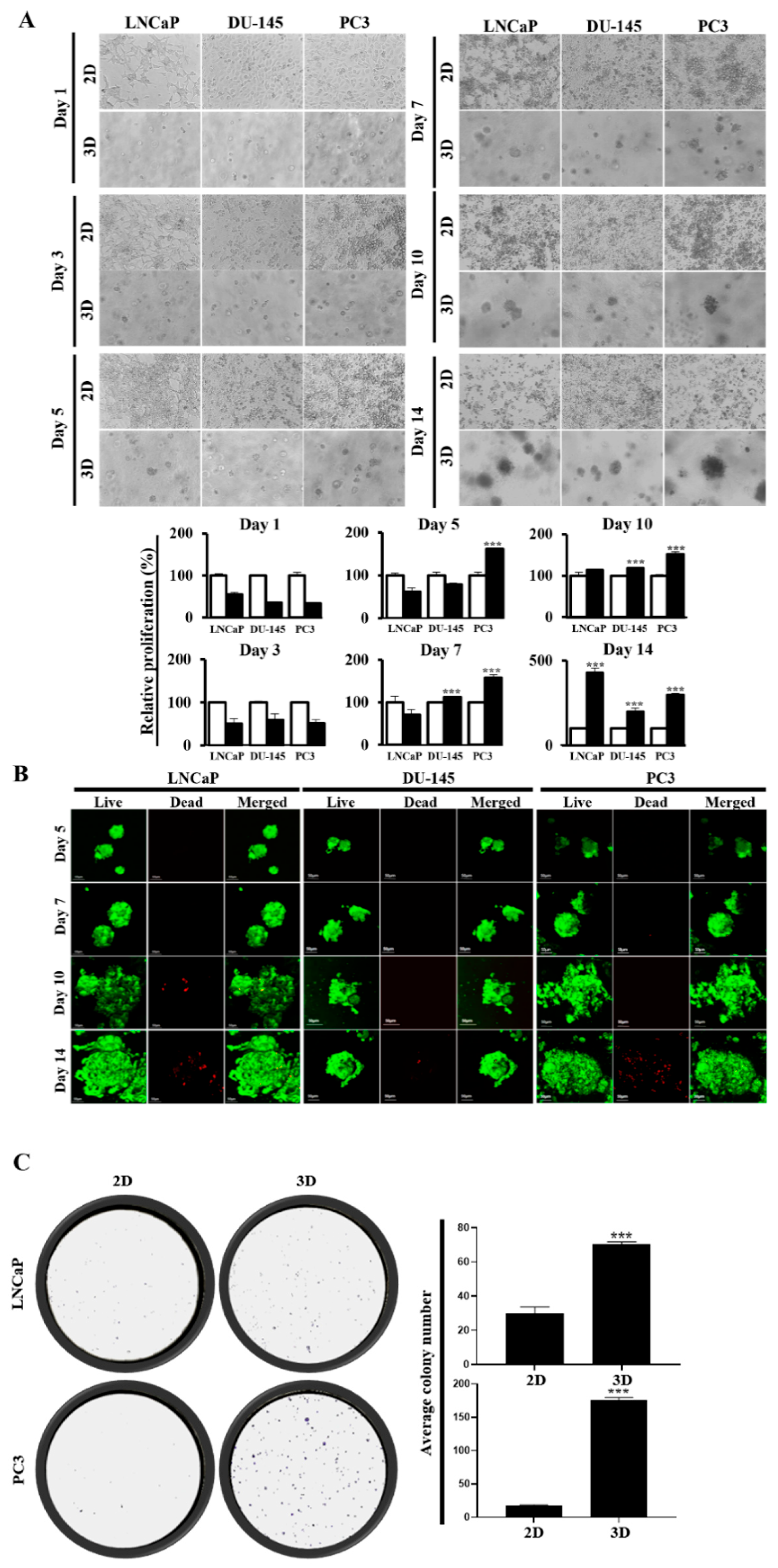 Marinedrugs 22 00295 g002 Marinedrugs 22 00295 g002
