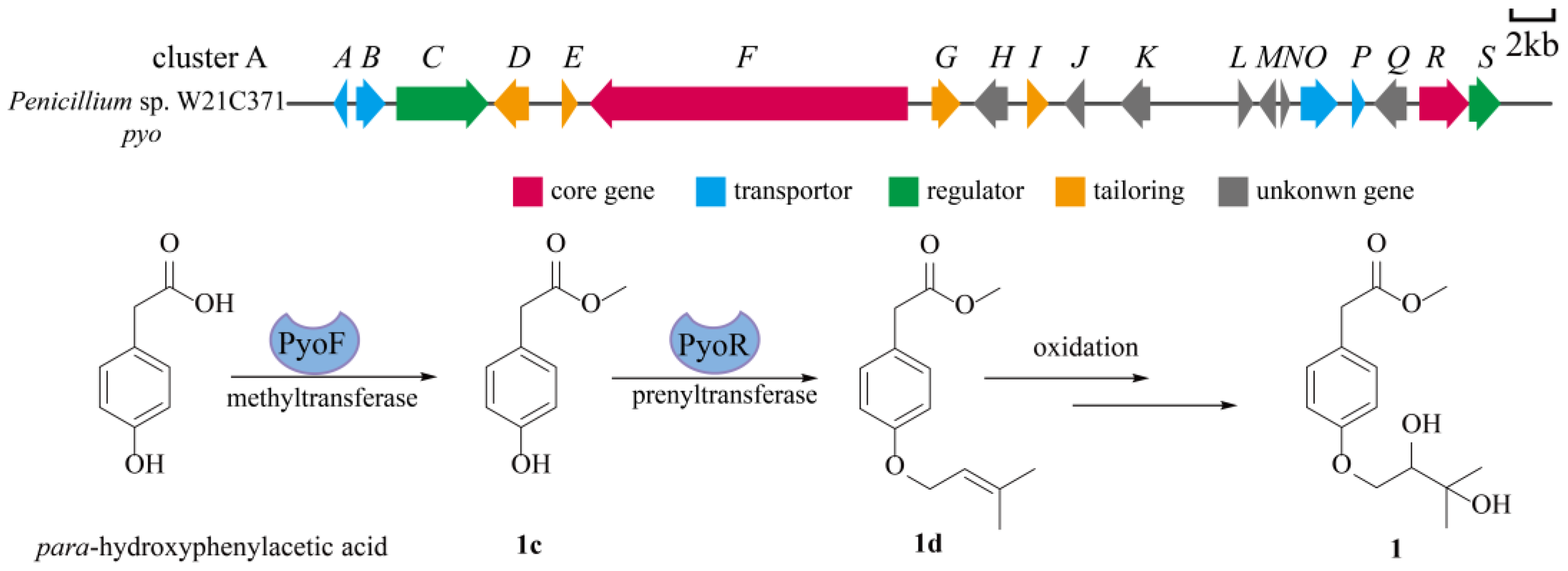 Marinedrugs 22 00296 g004