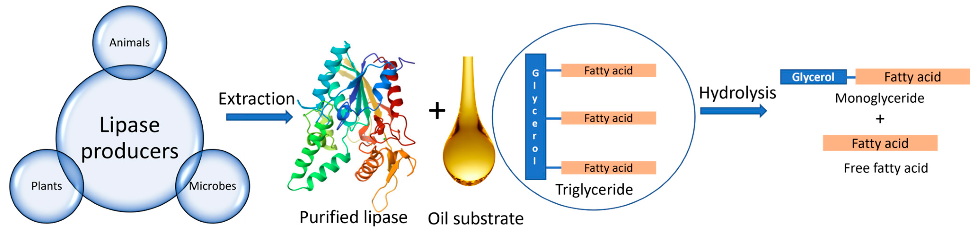 Marinedrugs 22 00301 g001