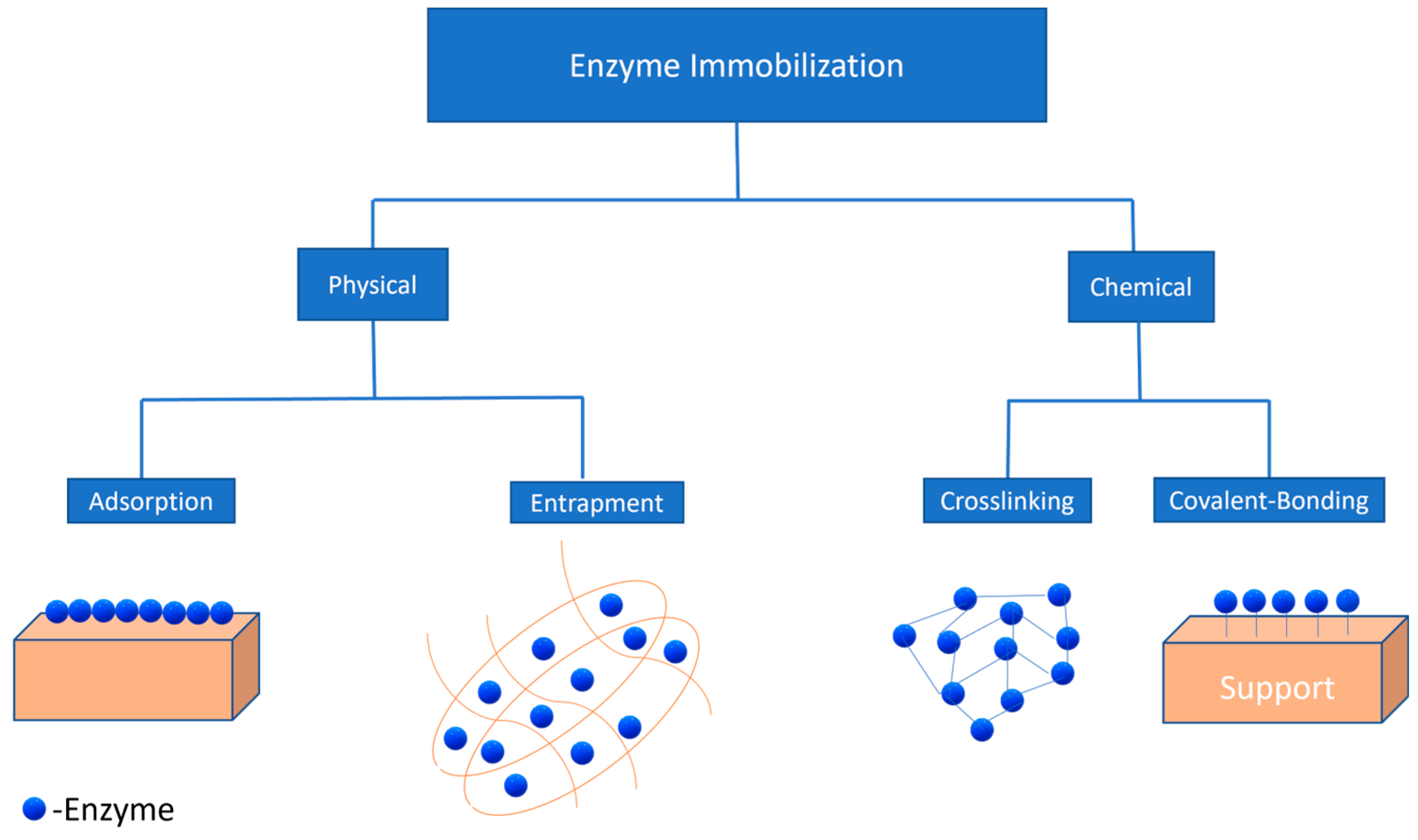 Marinedrugs 22 00301 g002