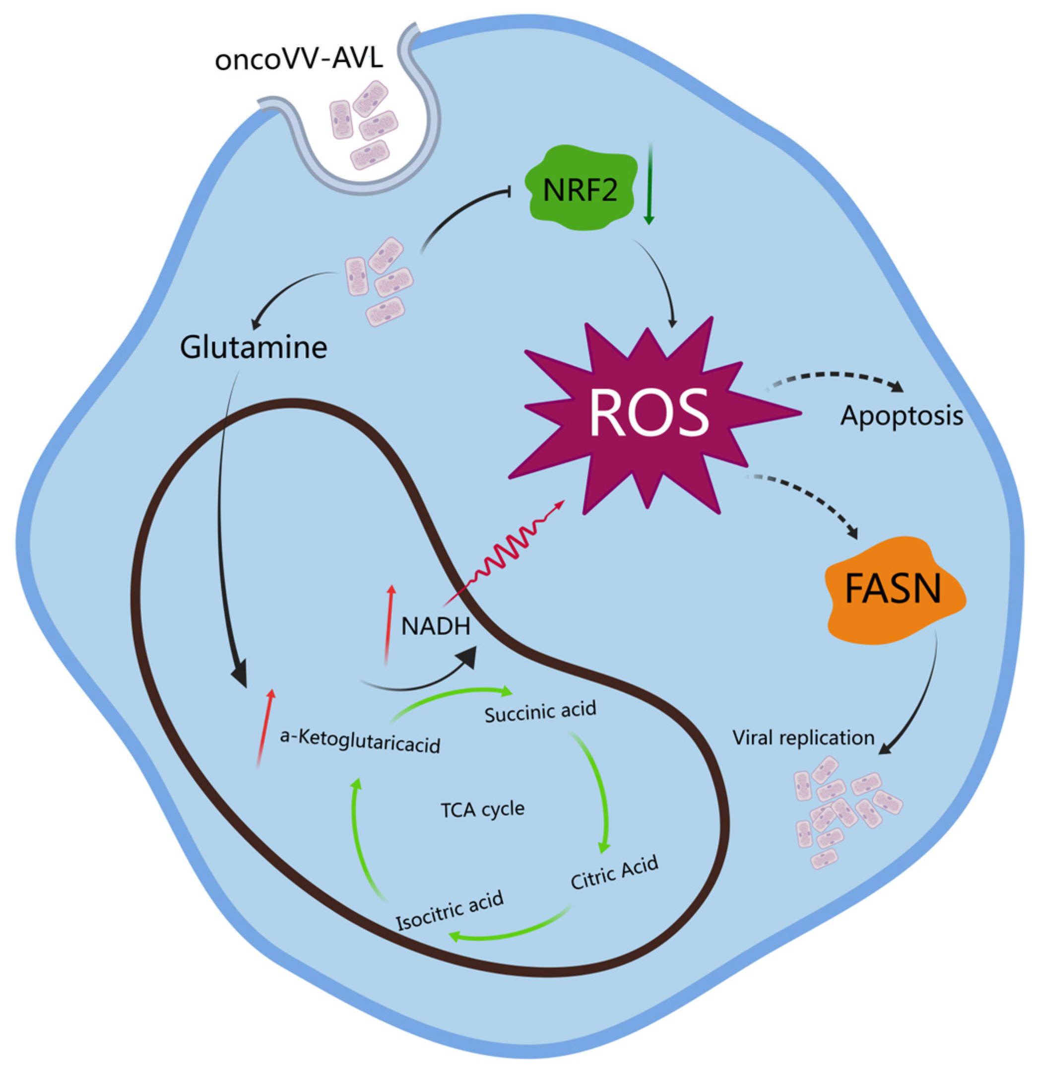 Marinedrugs 22 00307 g007