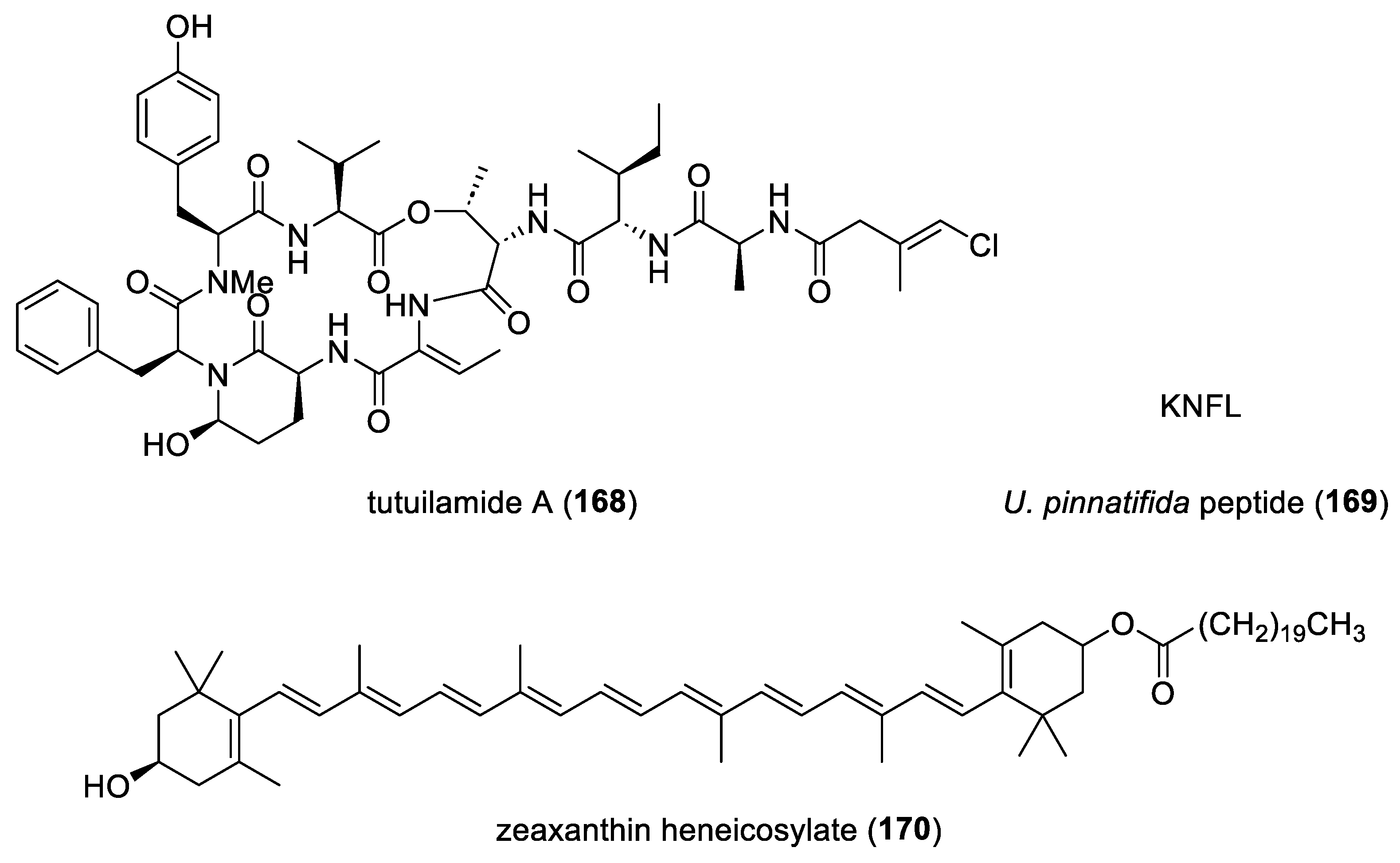 Marinedrugs 22 00309 g003e