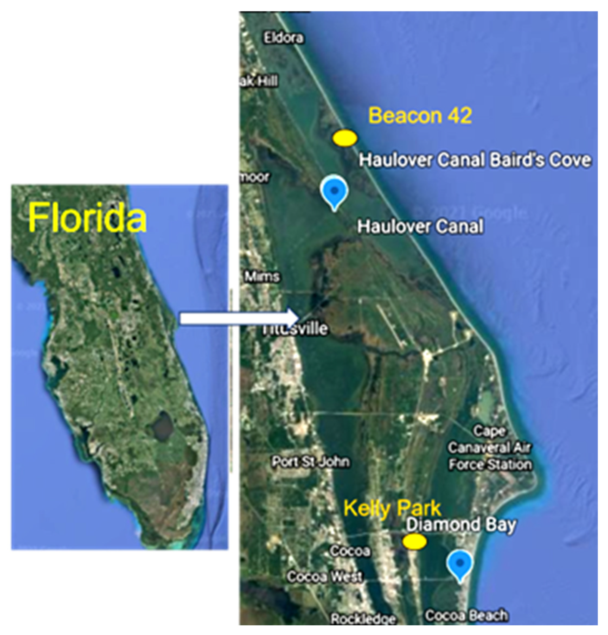 Marinedrugs 22 00311 g001