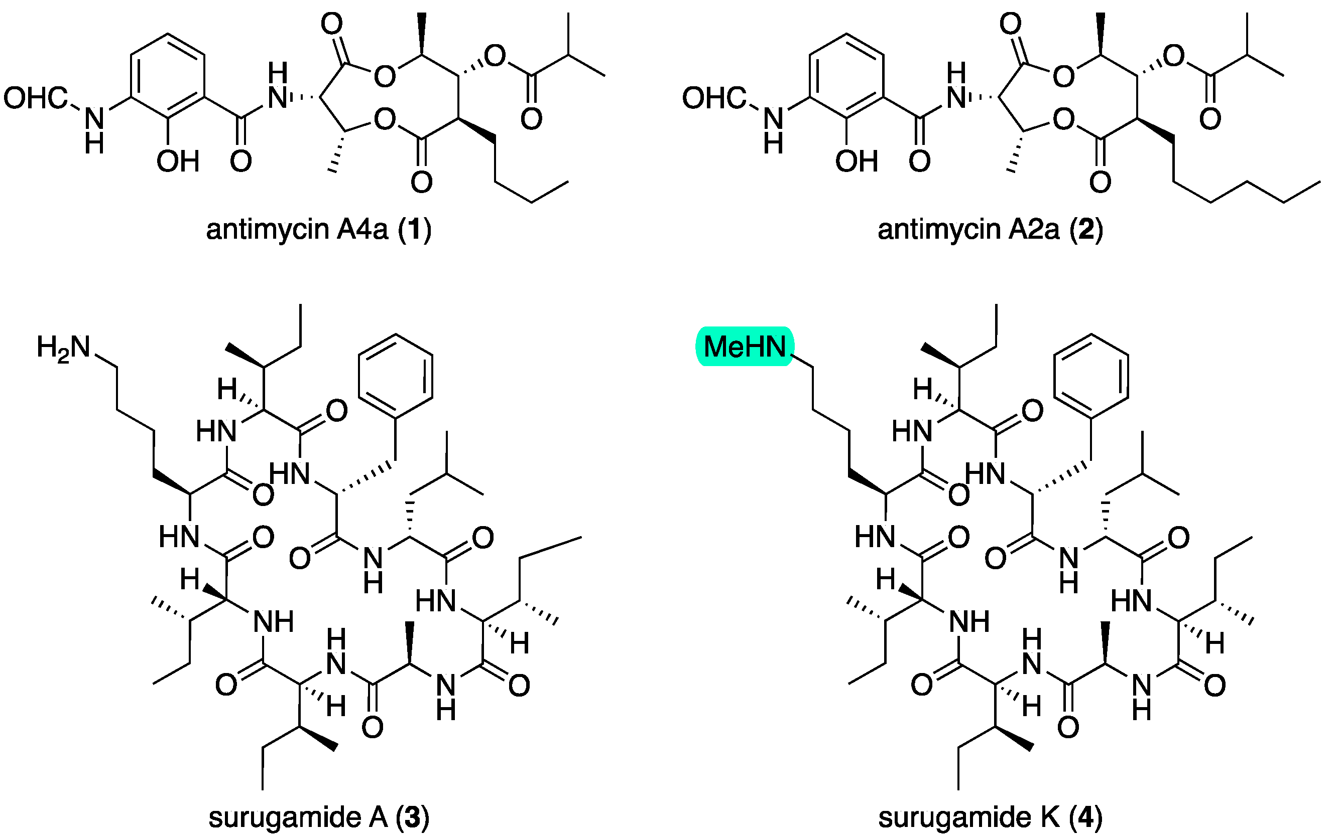 Marinedrugs 22 00312 g001
