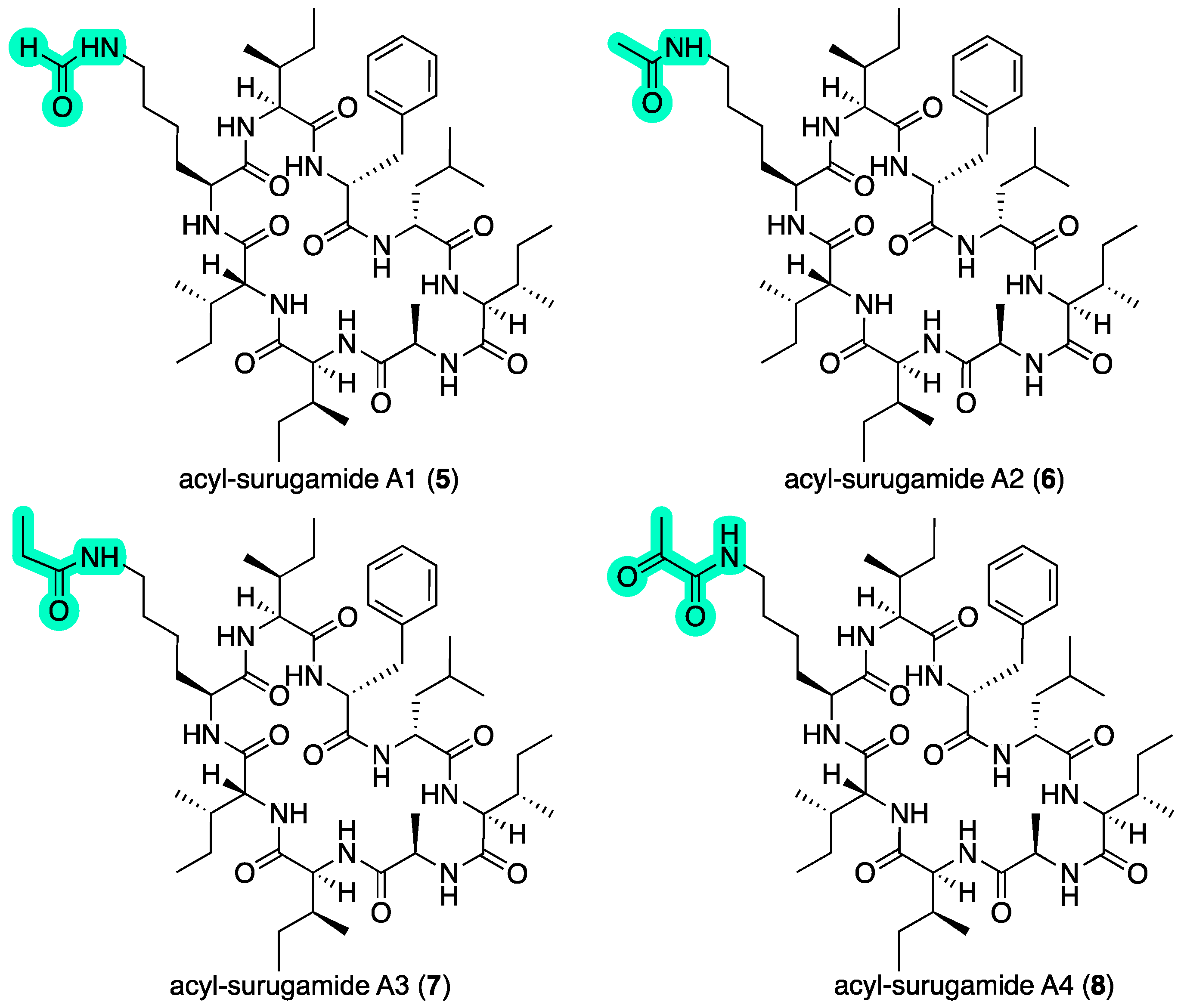 Marinedrugs 22 00312 g003