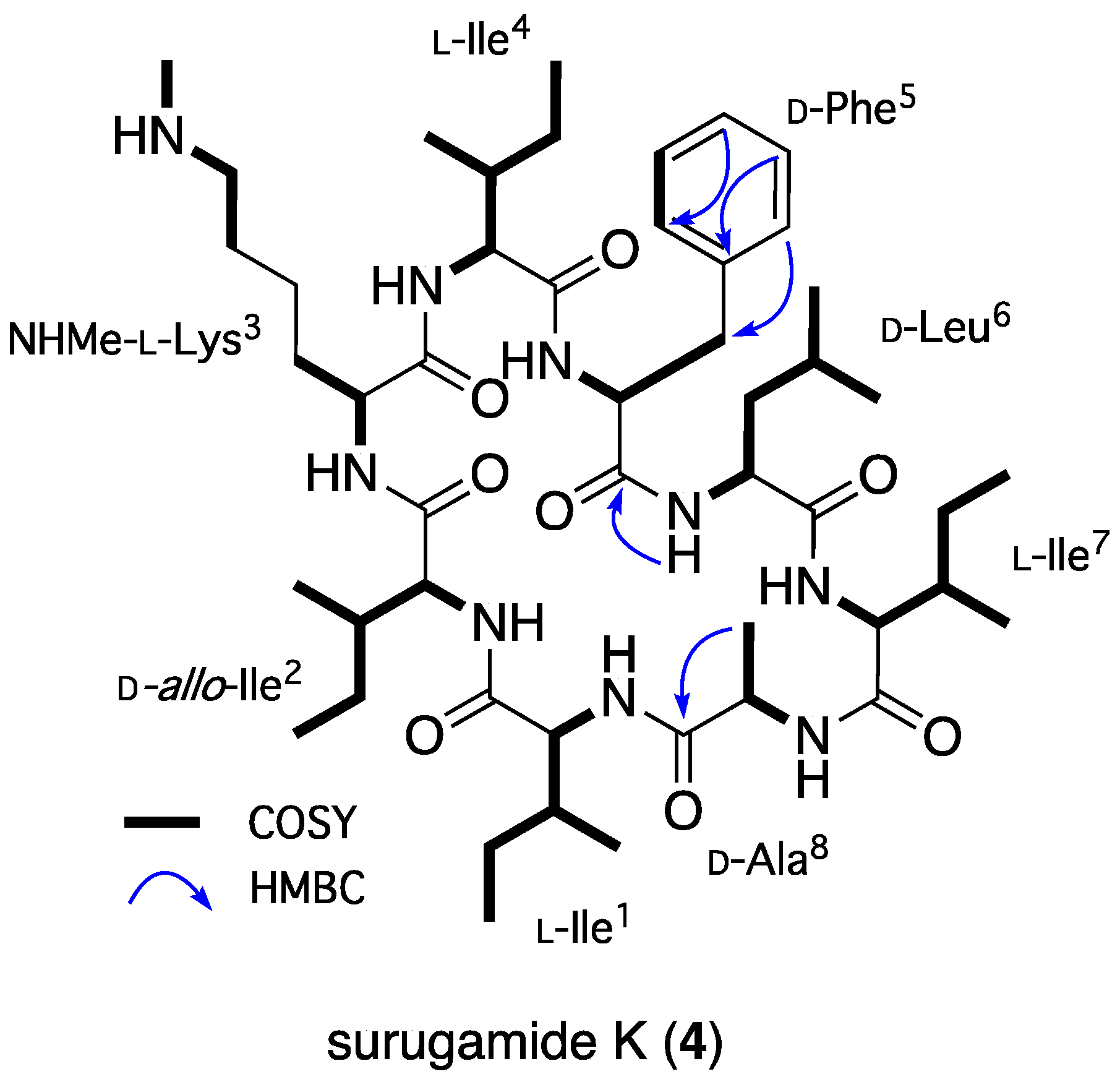 Marinedrugs 22 00312 g004