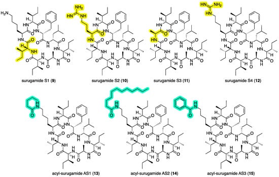 Marinedrugs 22 00312 g006