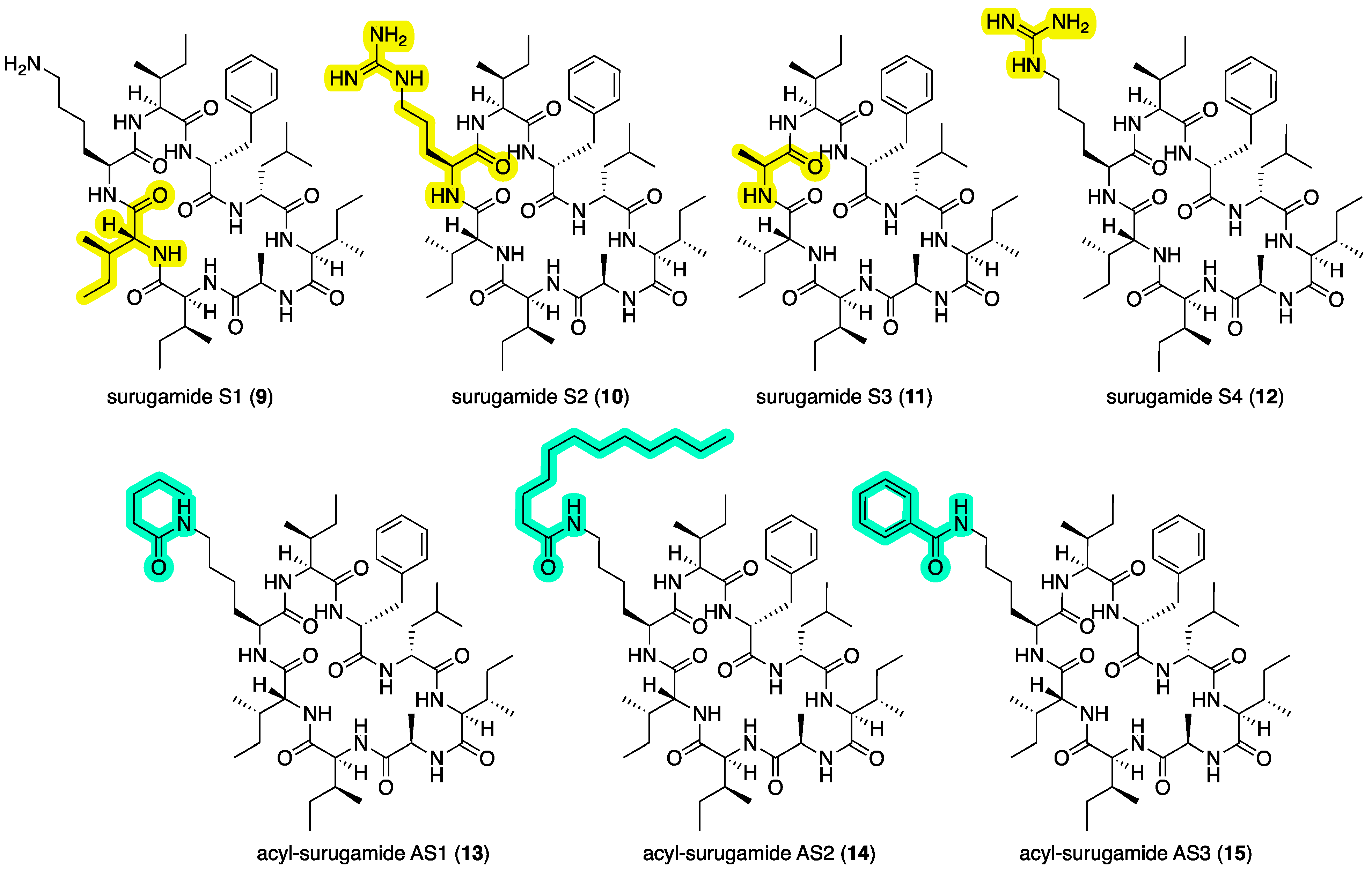 Marinedrugs 22 00312 g006